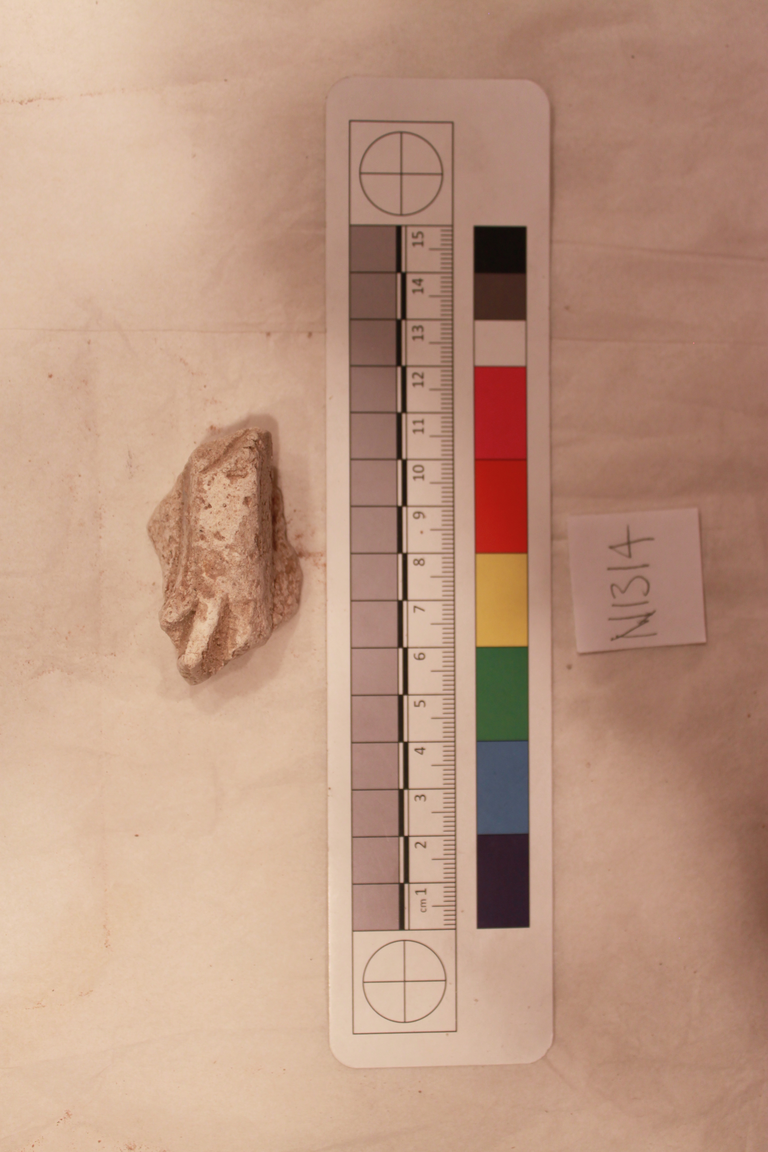Archaeological Bone Fragment Sample