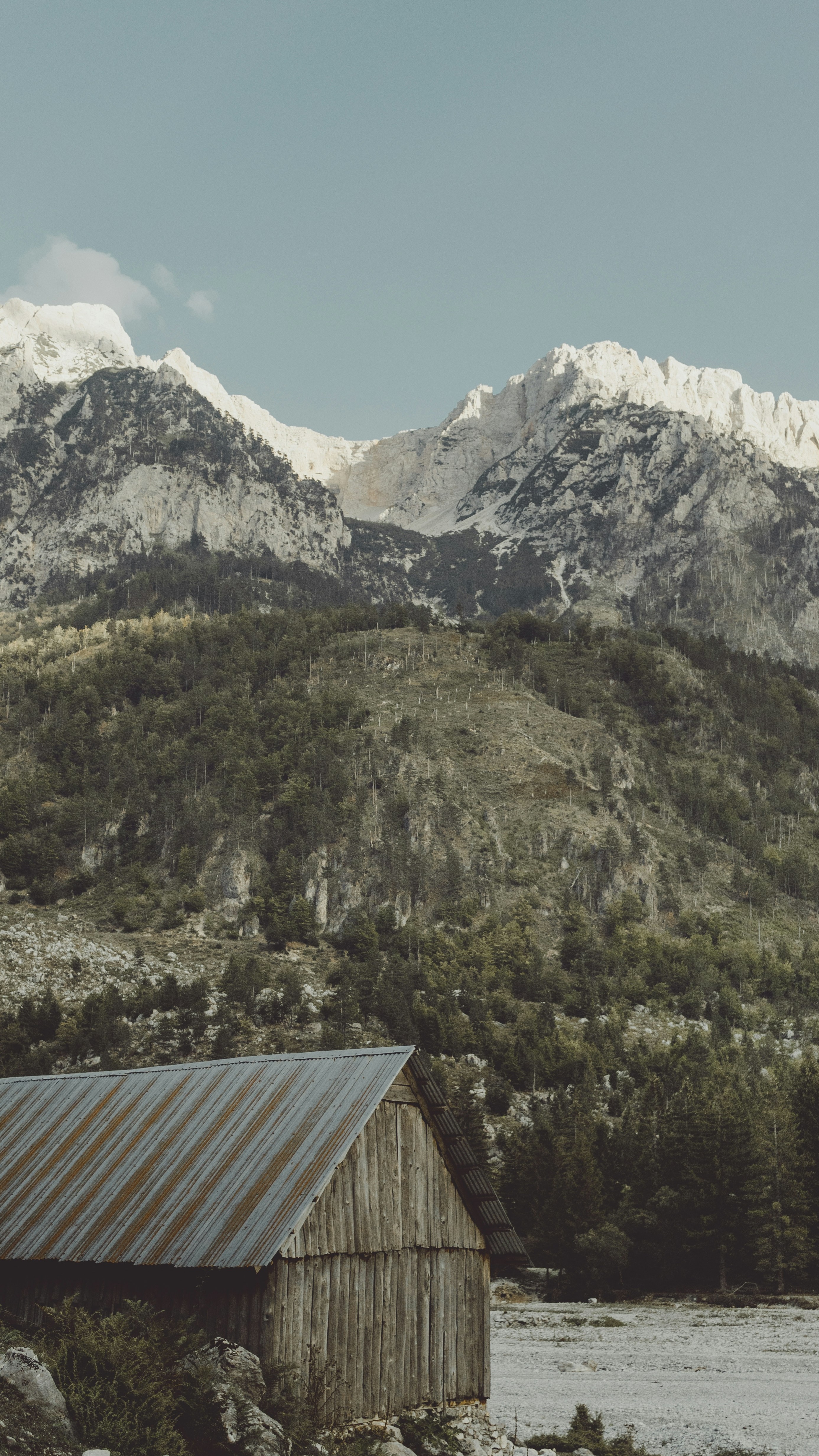 Wallpapers