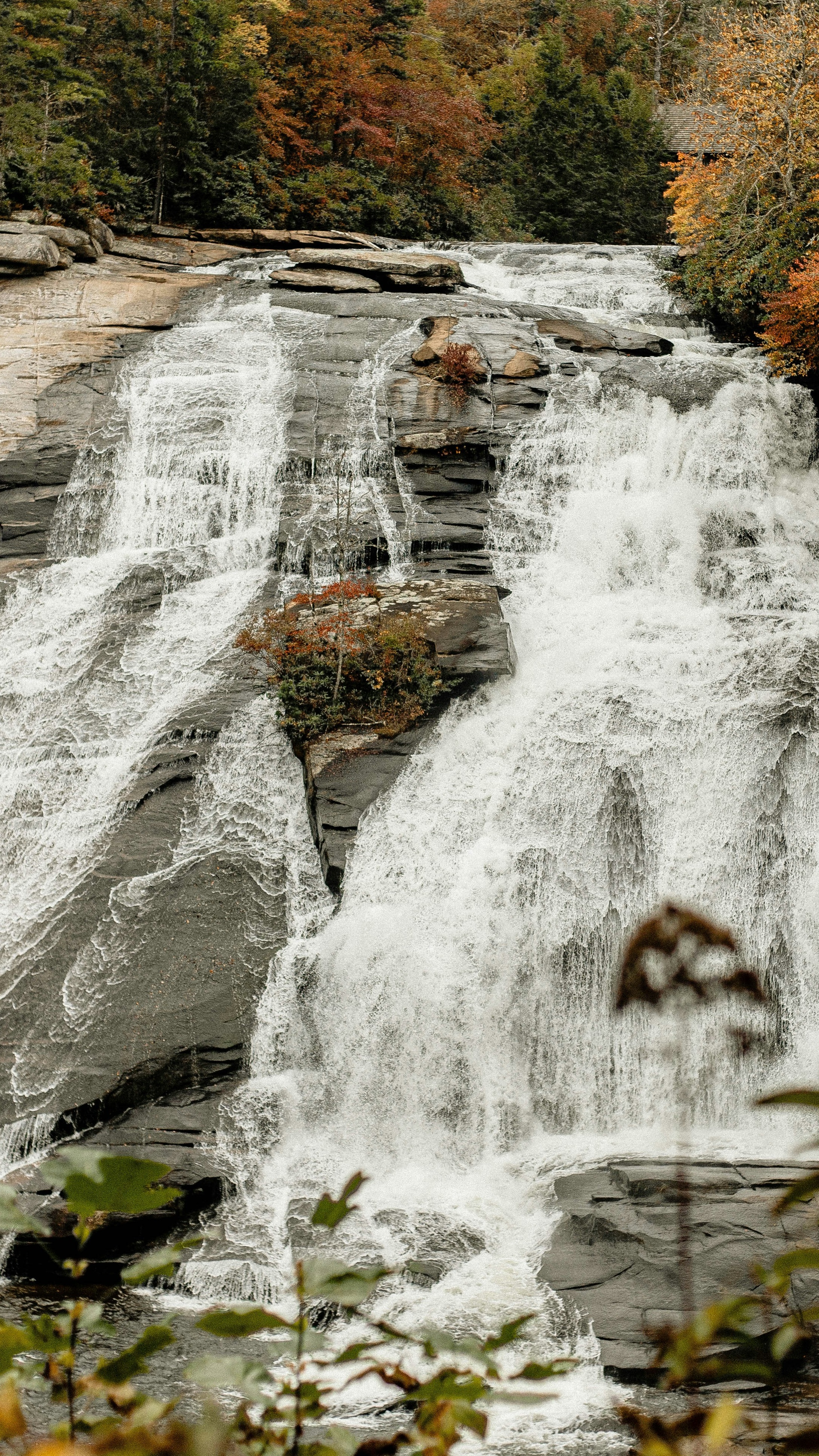 Autumn Forest Waterfall