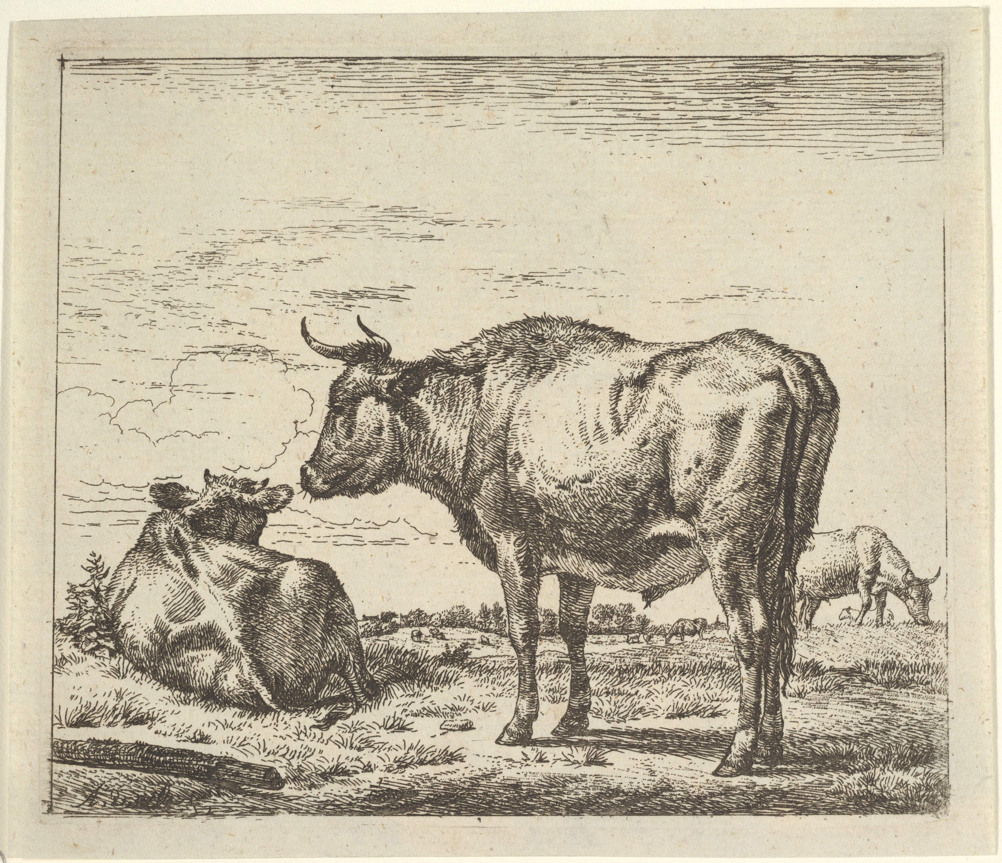 Cows in Pasture Sketch