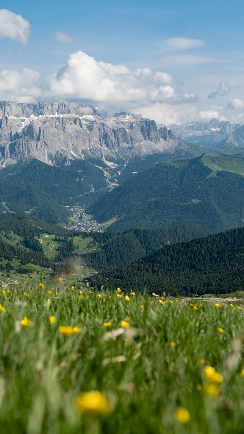 Alpine Mountain Valley Landscape