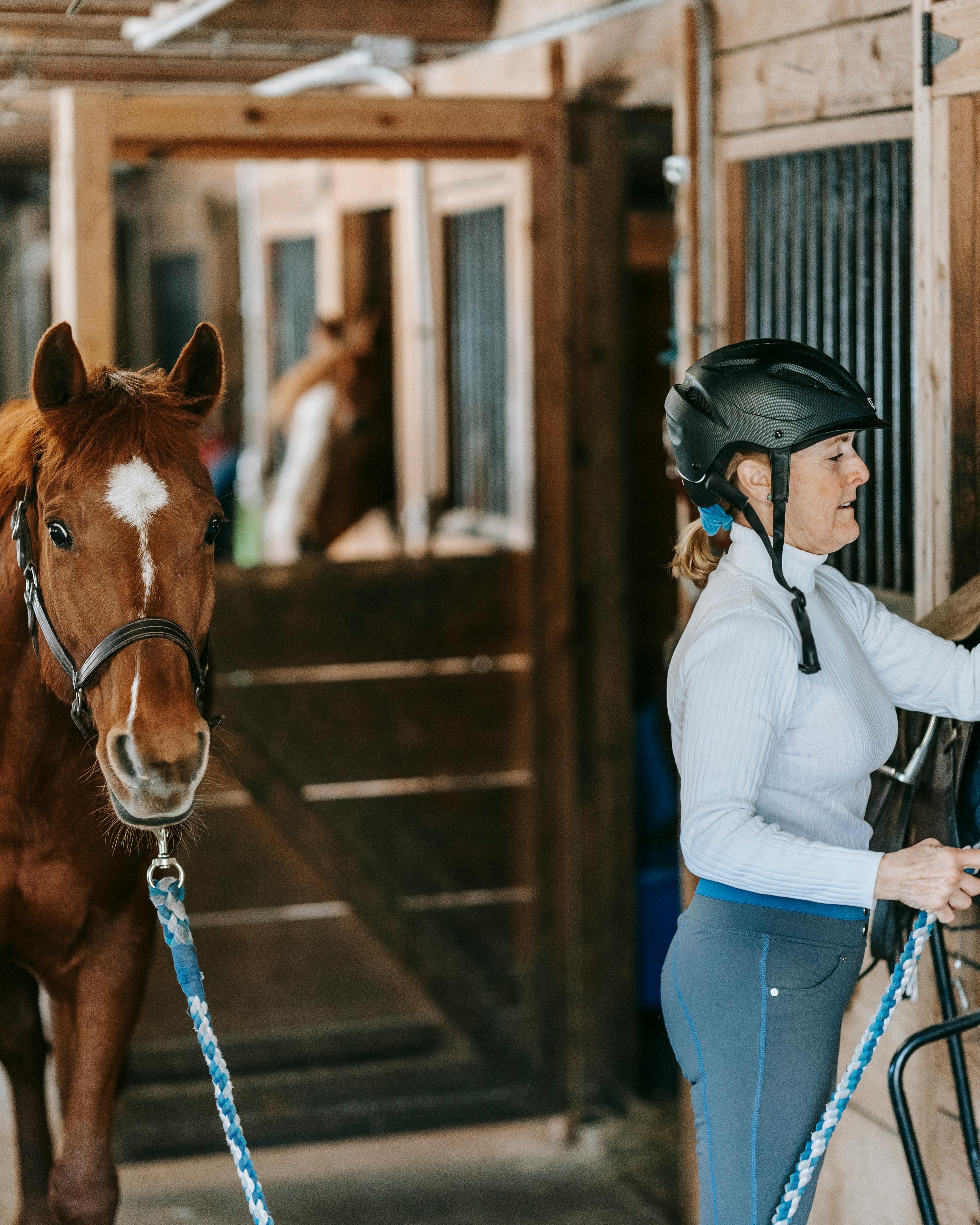 Woman Preparing Horse in Stable