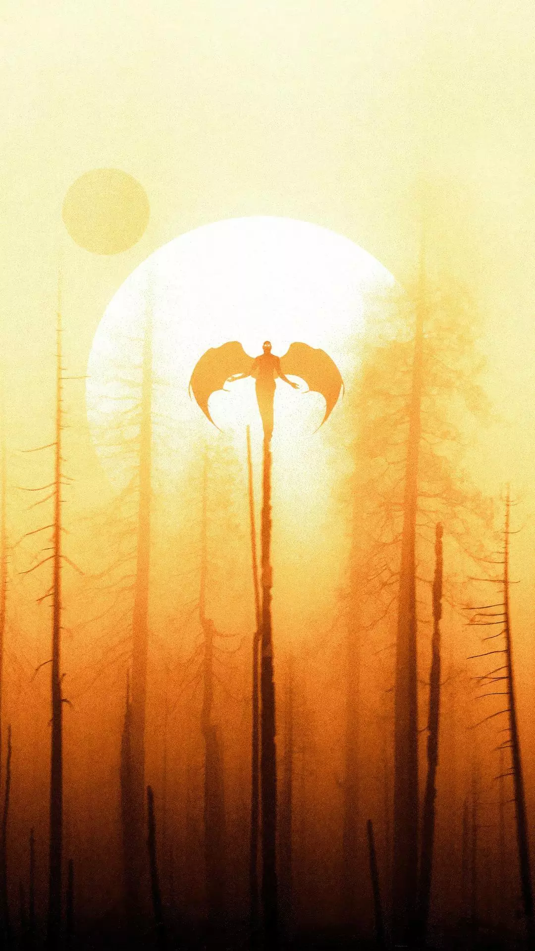 Wallpapers