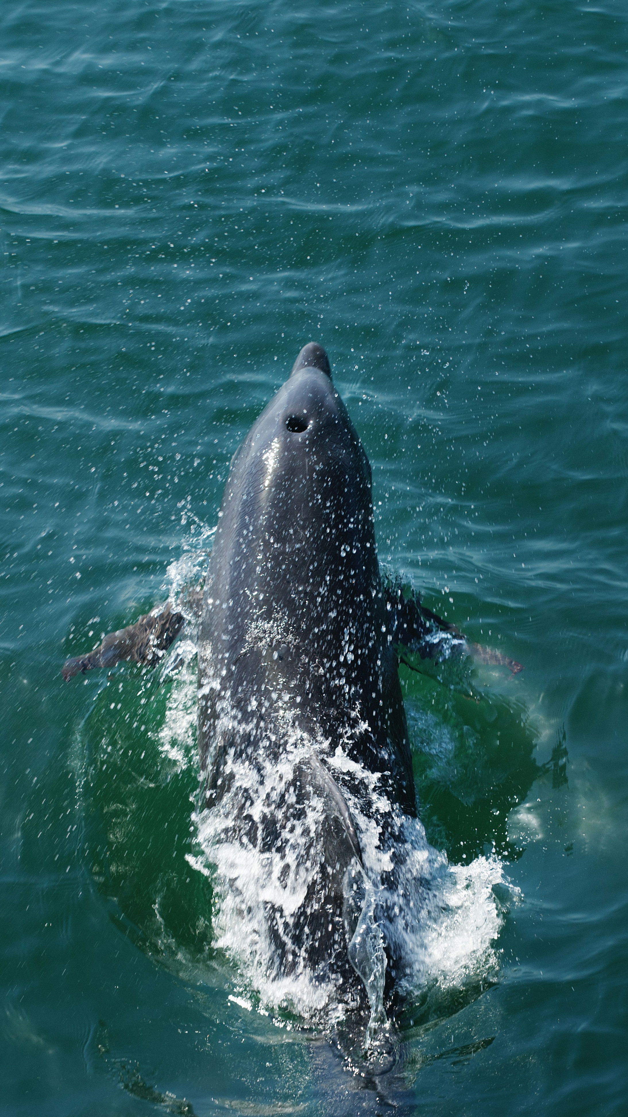 Ocean World