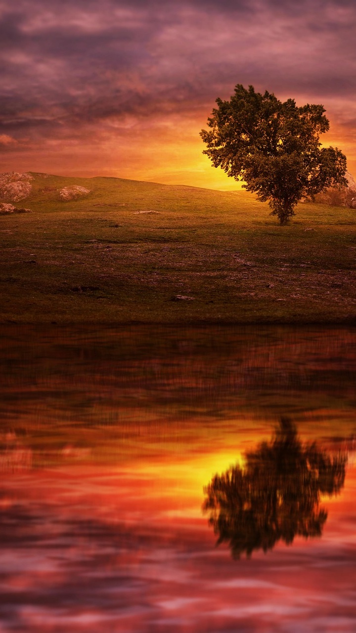 Wallpapers