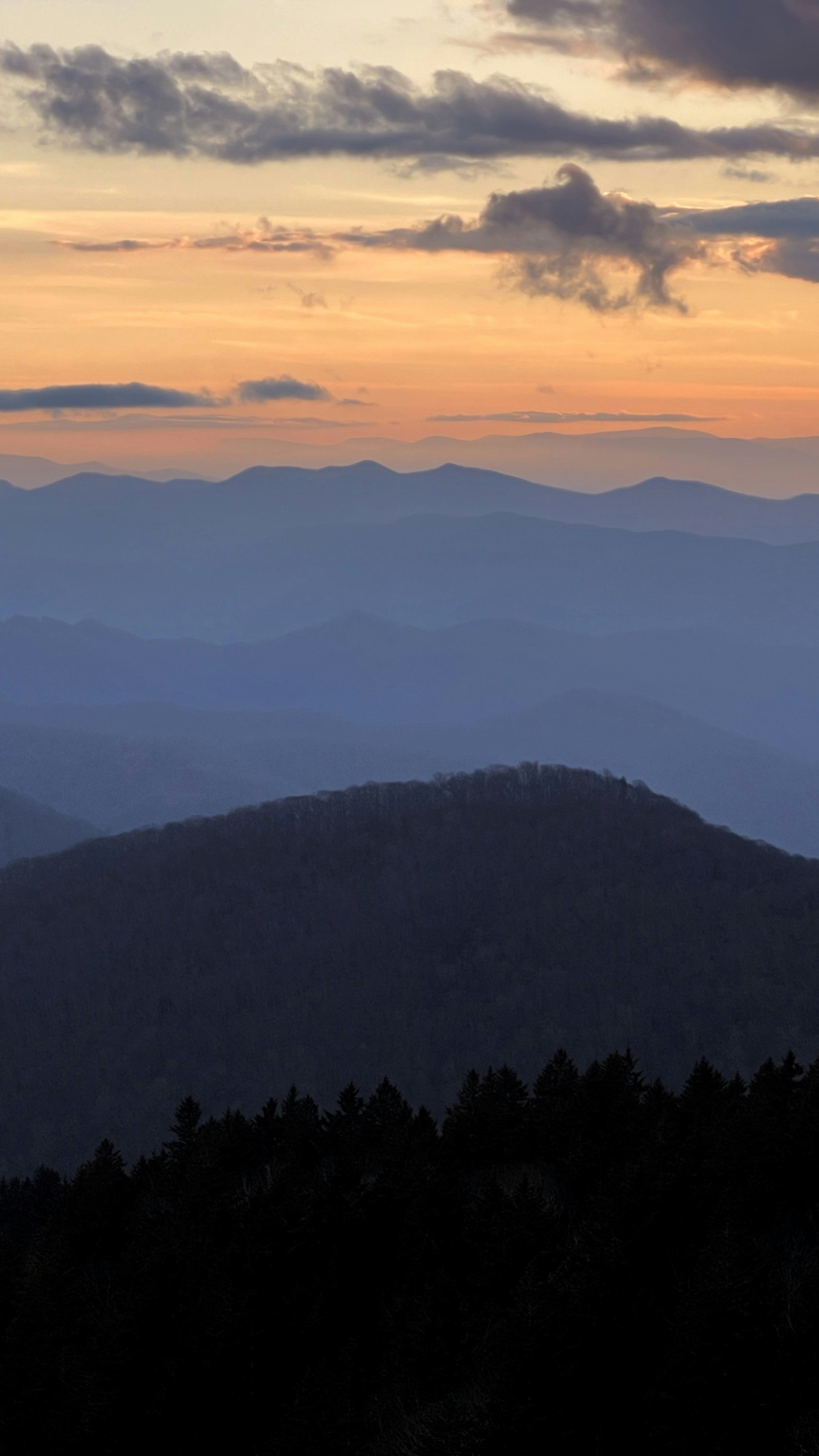 Landscapes