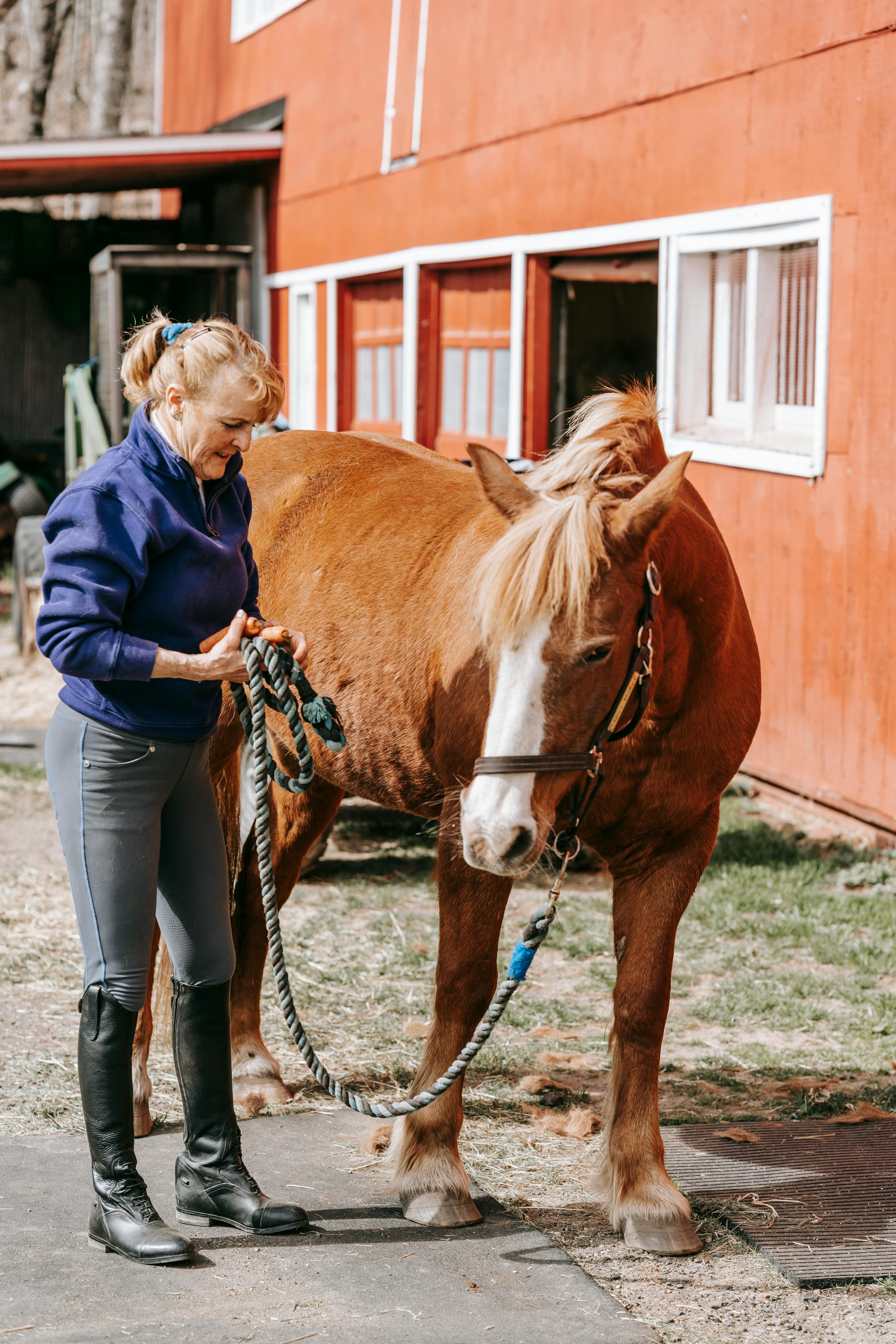 Woman With Horse Outside Red Barn