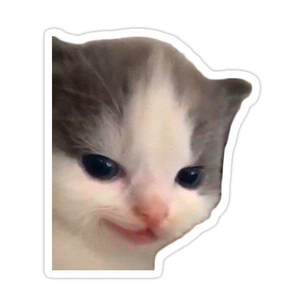 Smiling Kitten Meme Sticker — Stickers