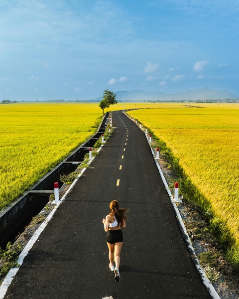Woman Running Through Golden Rice Fields