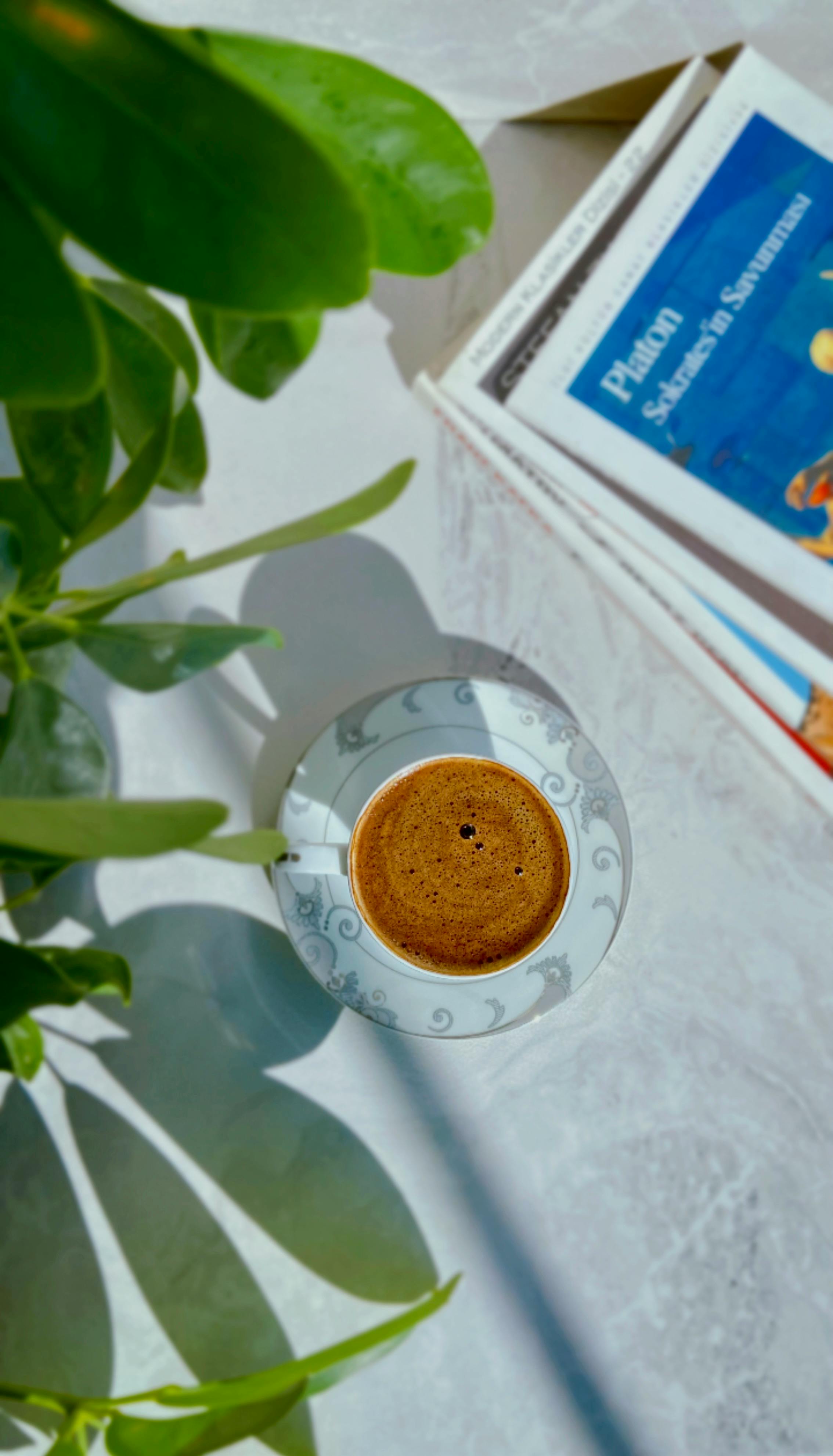 Coffee and Book Beside Green Plant