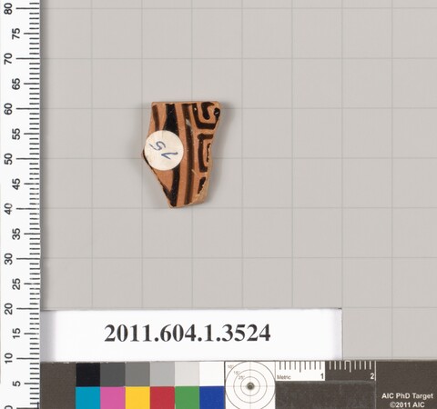 Ancient Painted Pottery Fragment