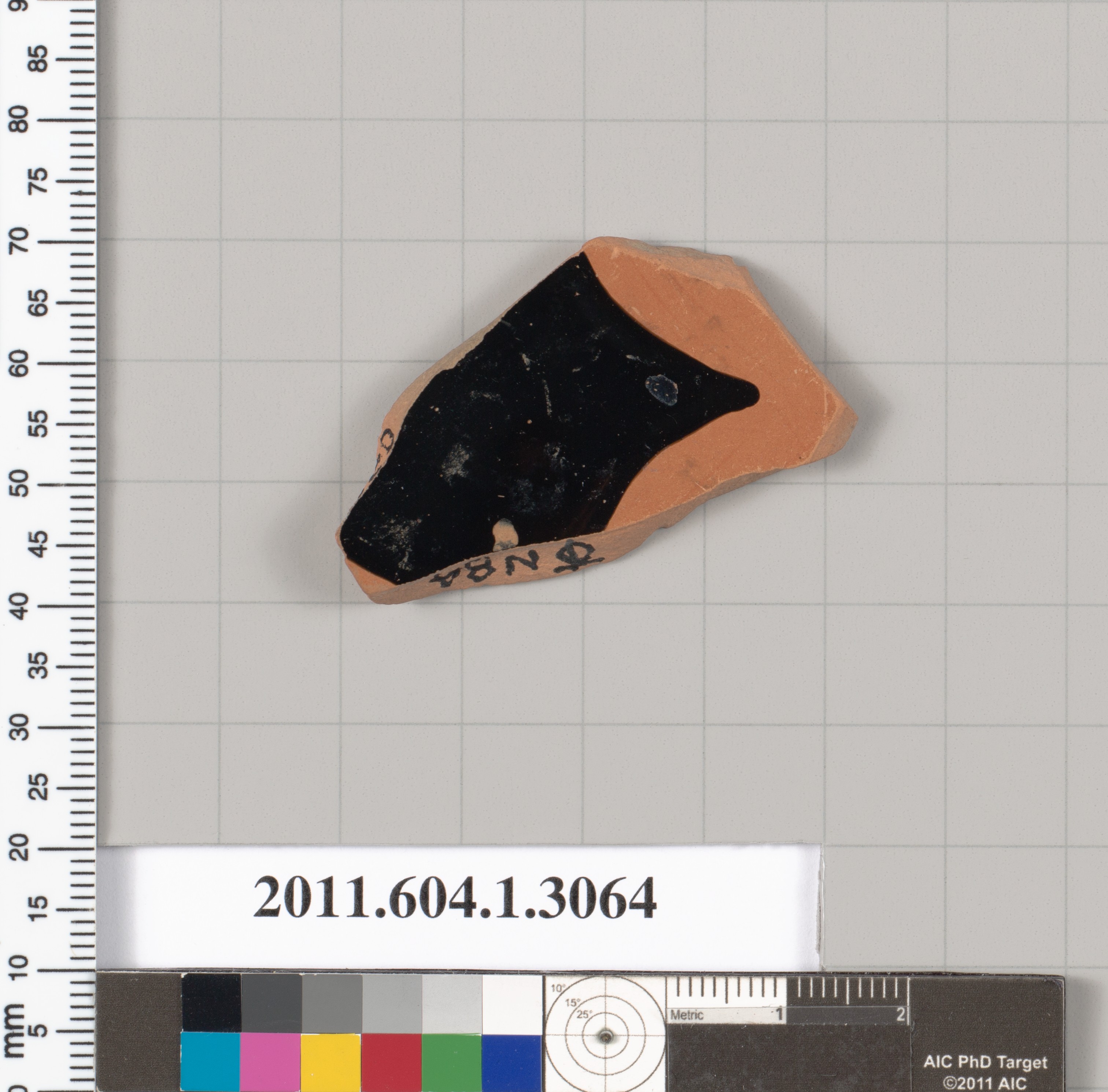 Ancient Pottery Fragment Specimen