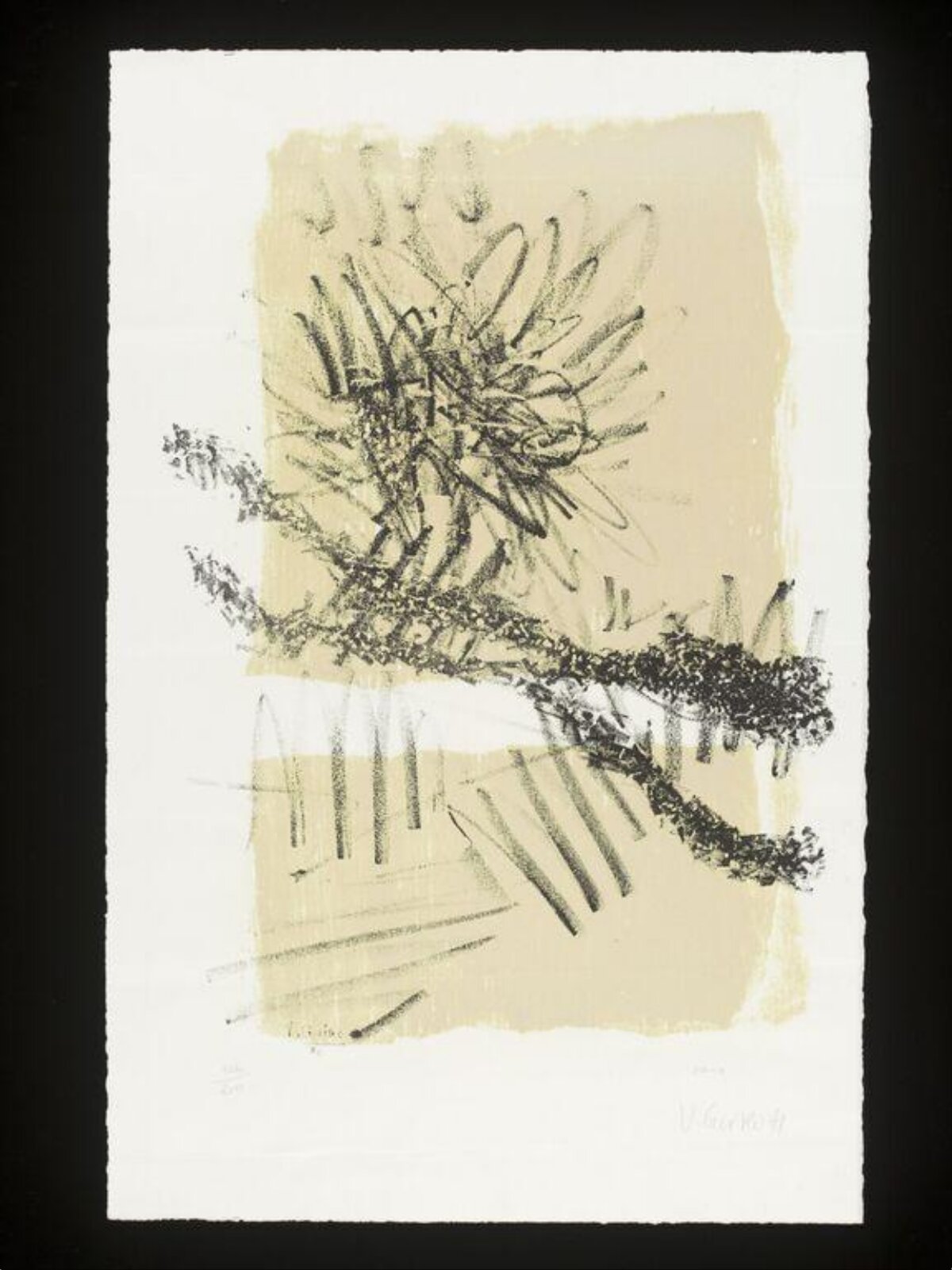 Abstract Ink Botanical Sketch