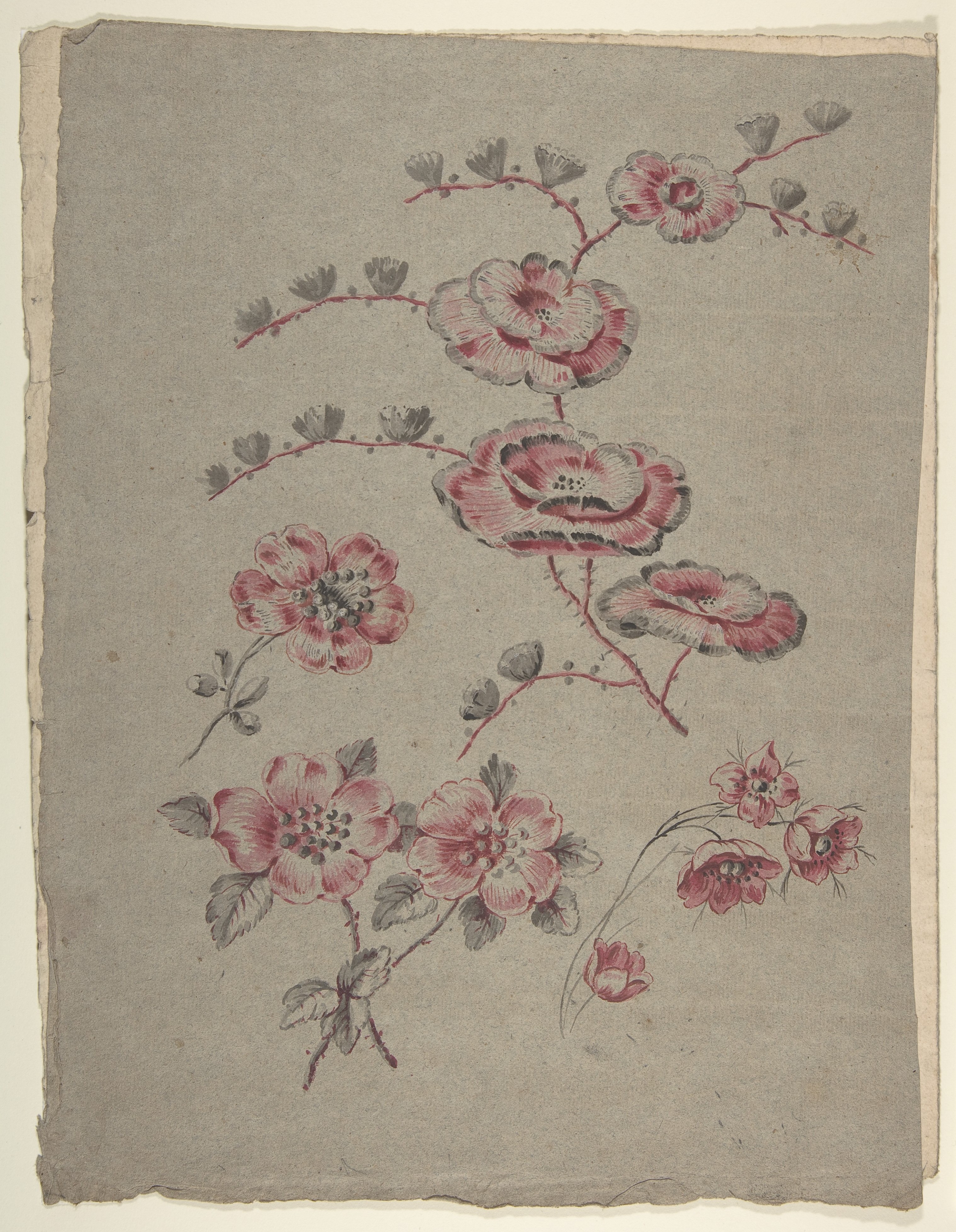 Hand Drawn Floral Design Sketch