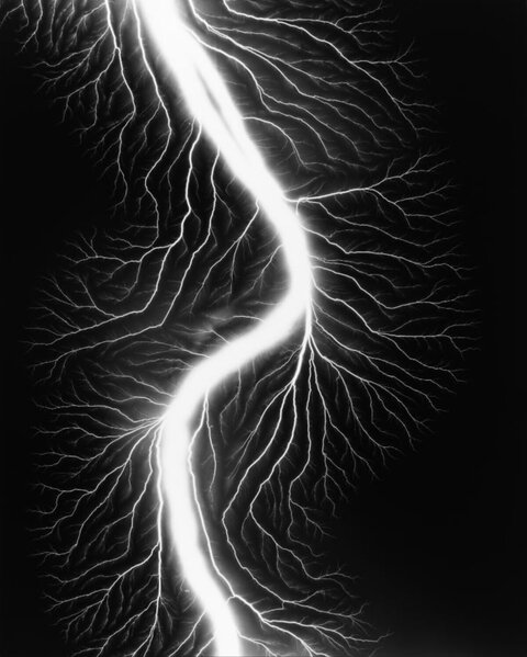 Branched Lightning on Black Background