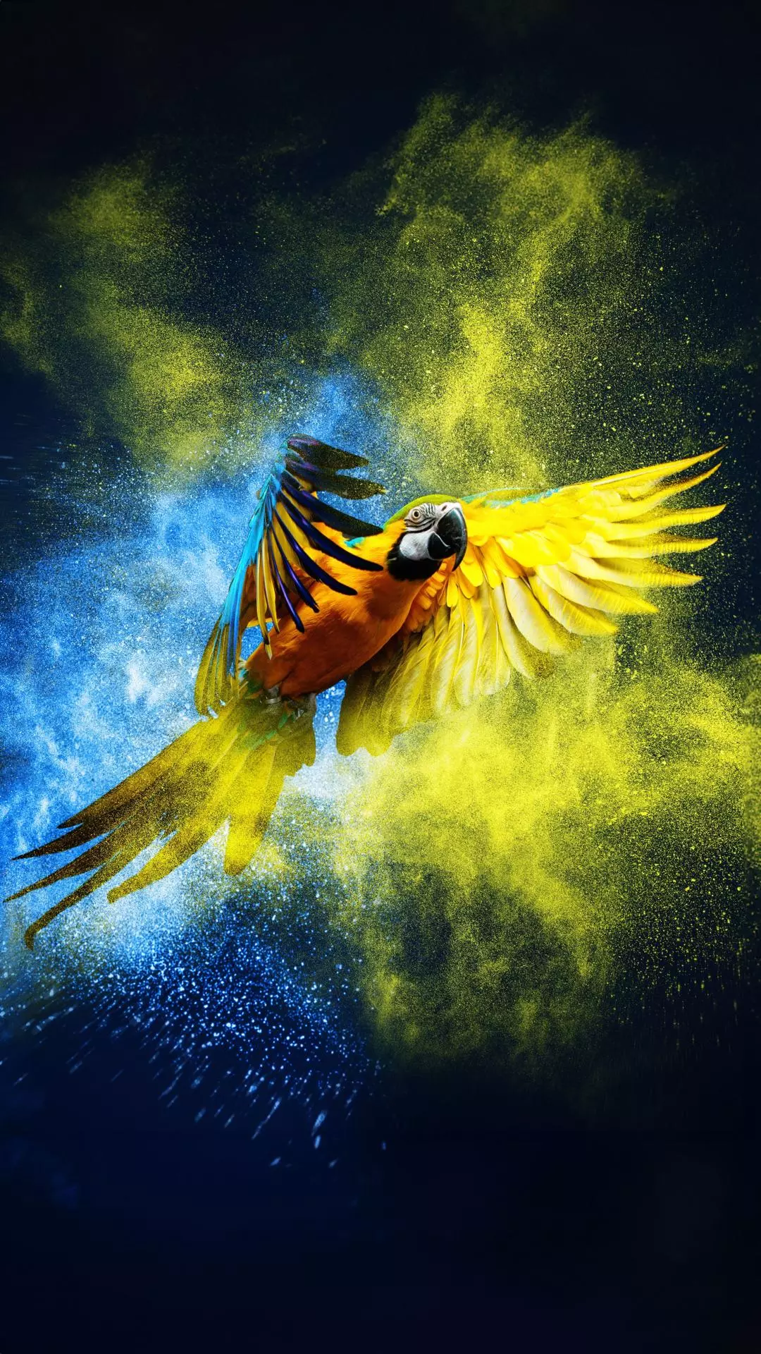 Wallpapers