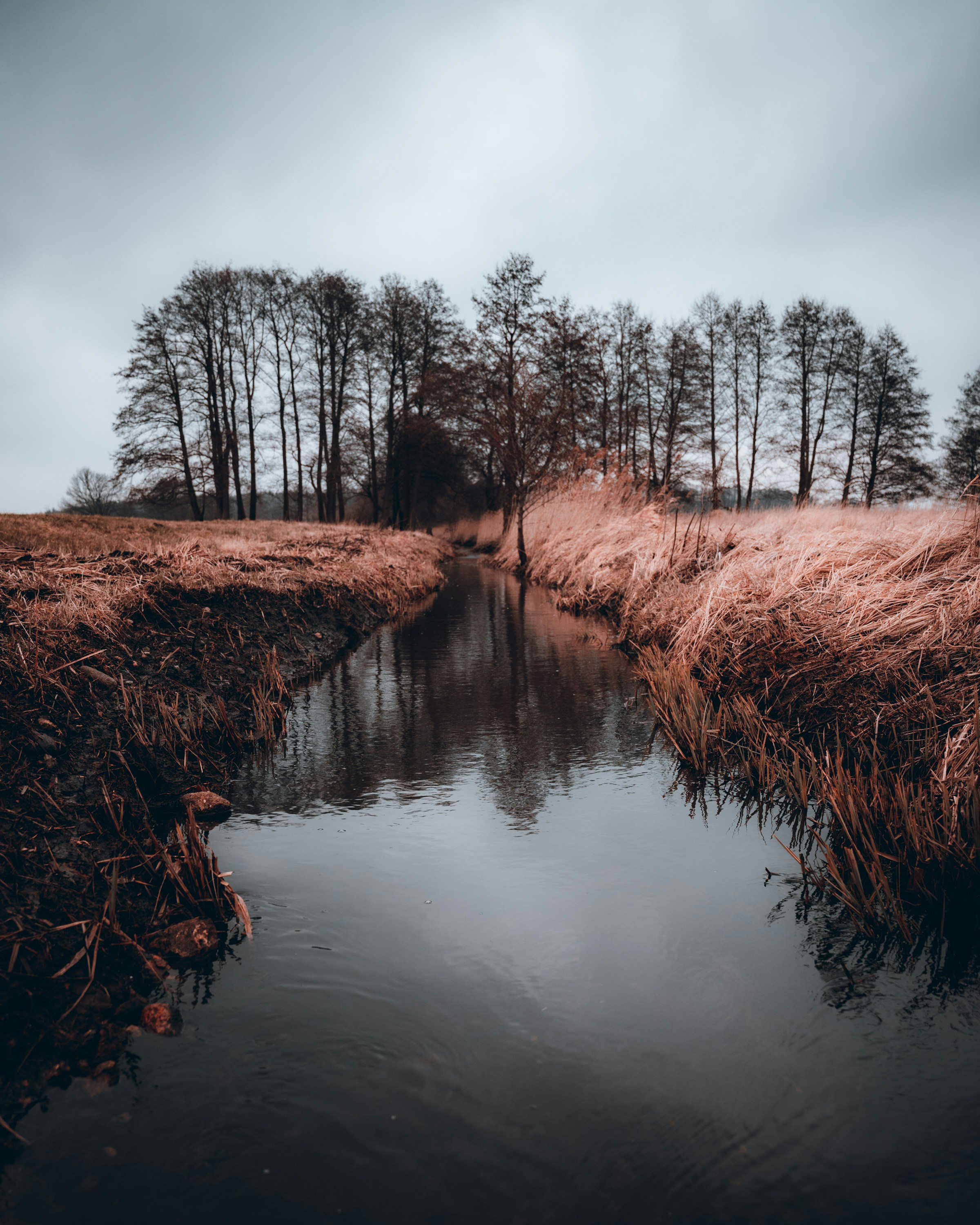 Stream Through Dry Grassy Meadow