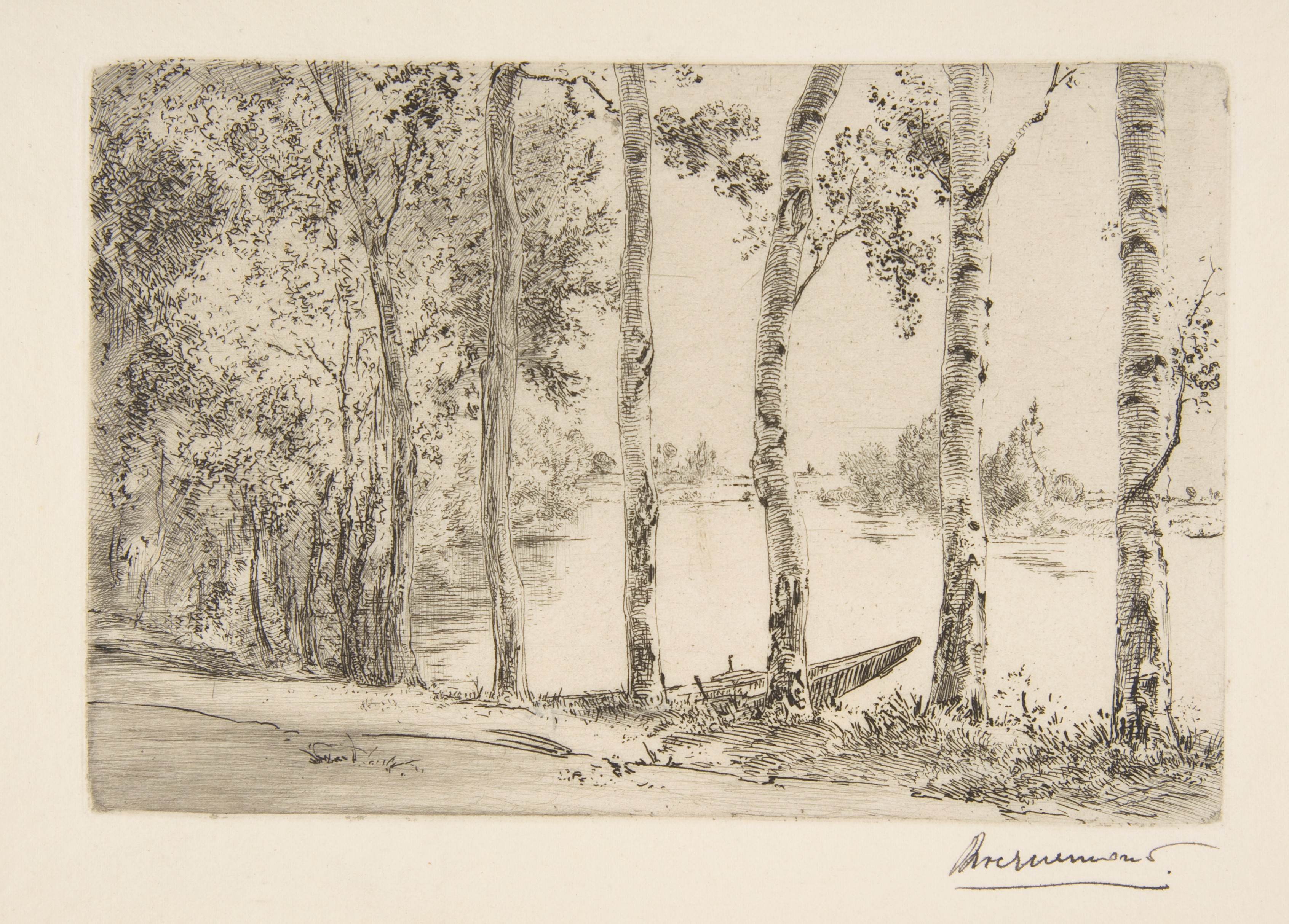 Riverside Birch Tree Sketch