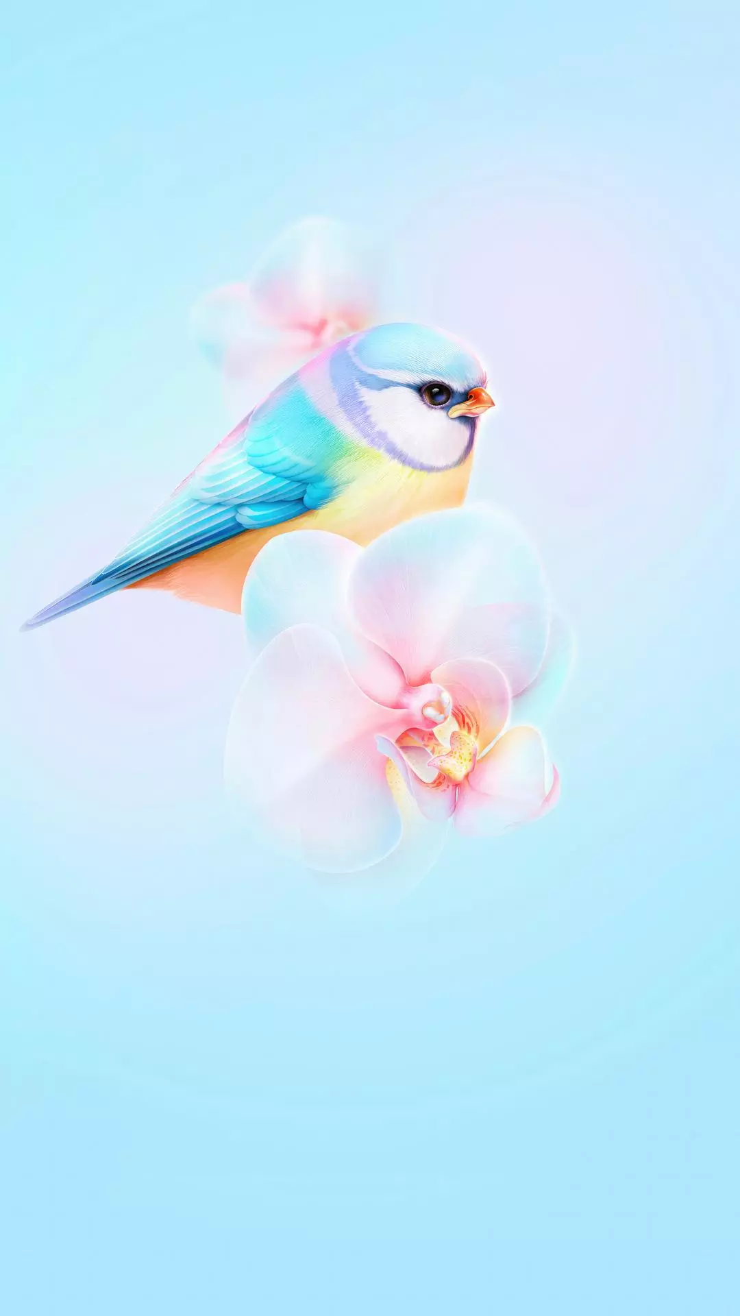 Wallpapers