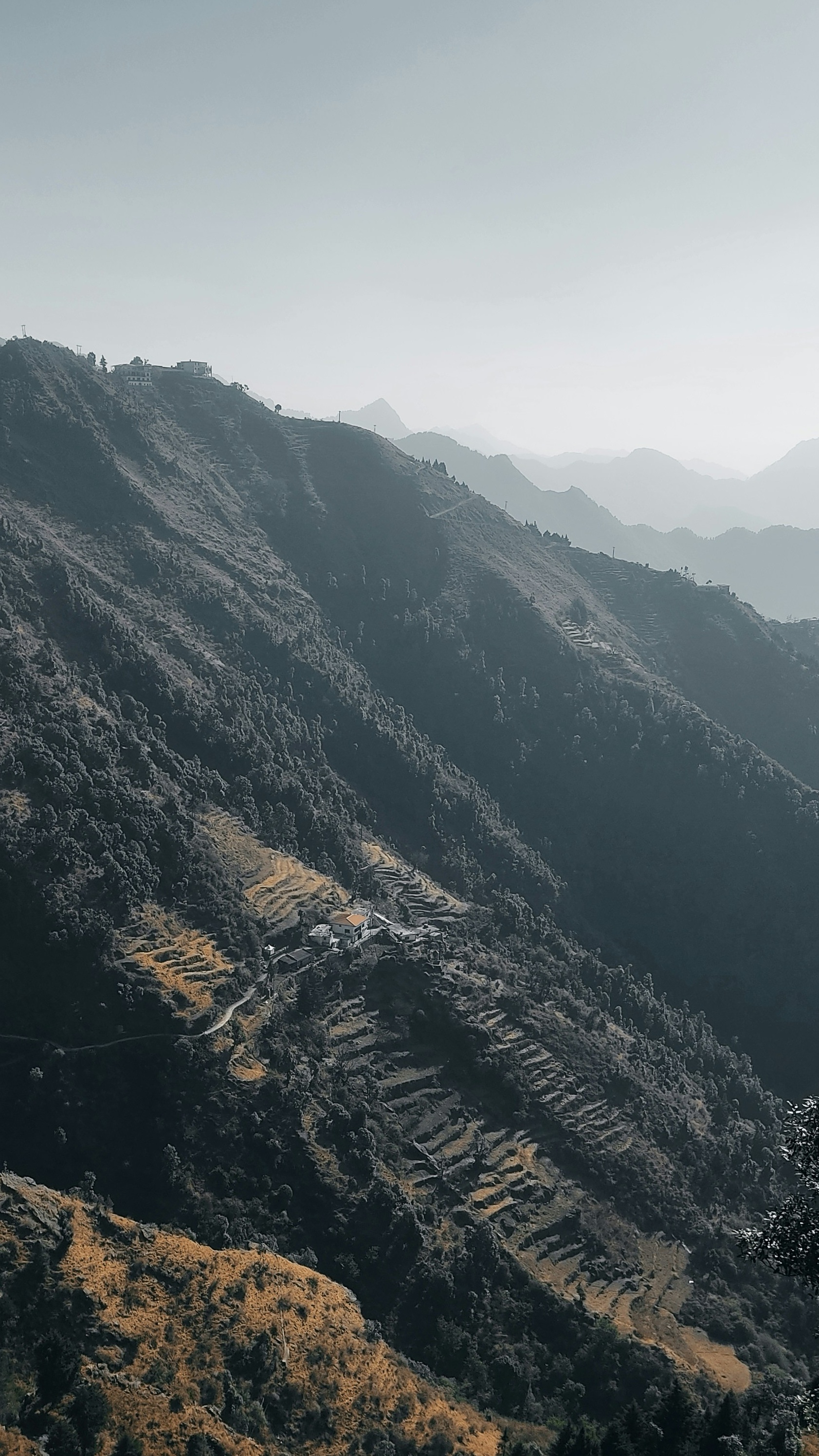 Landscapes