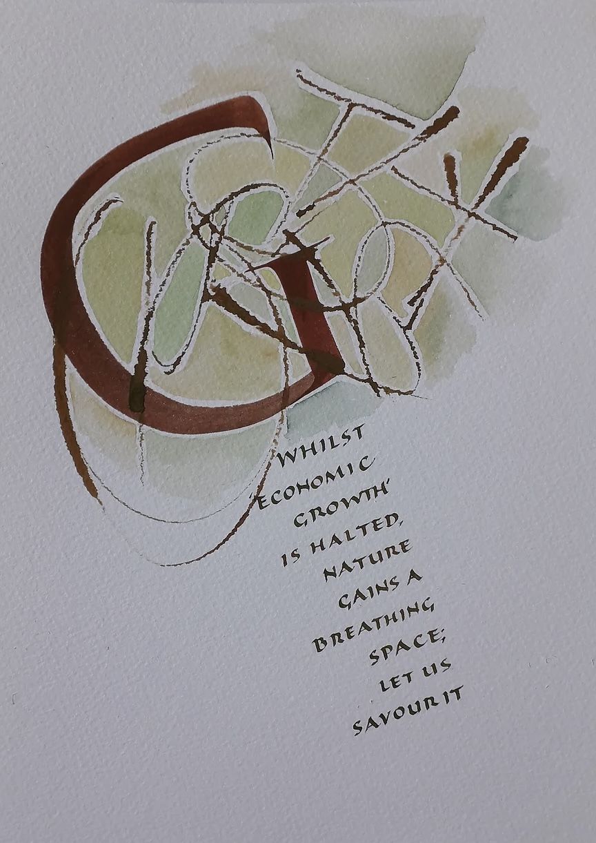 Calligraphic Environmental Quote Art