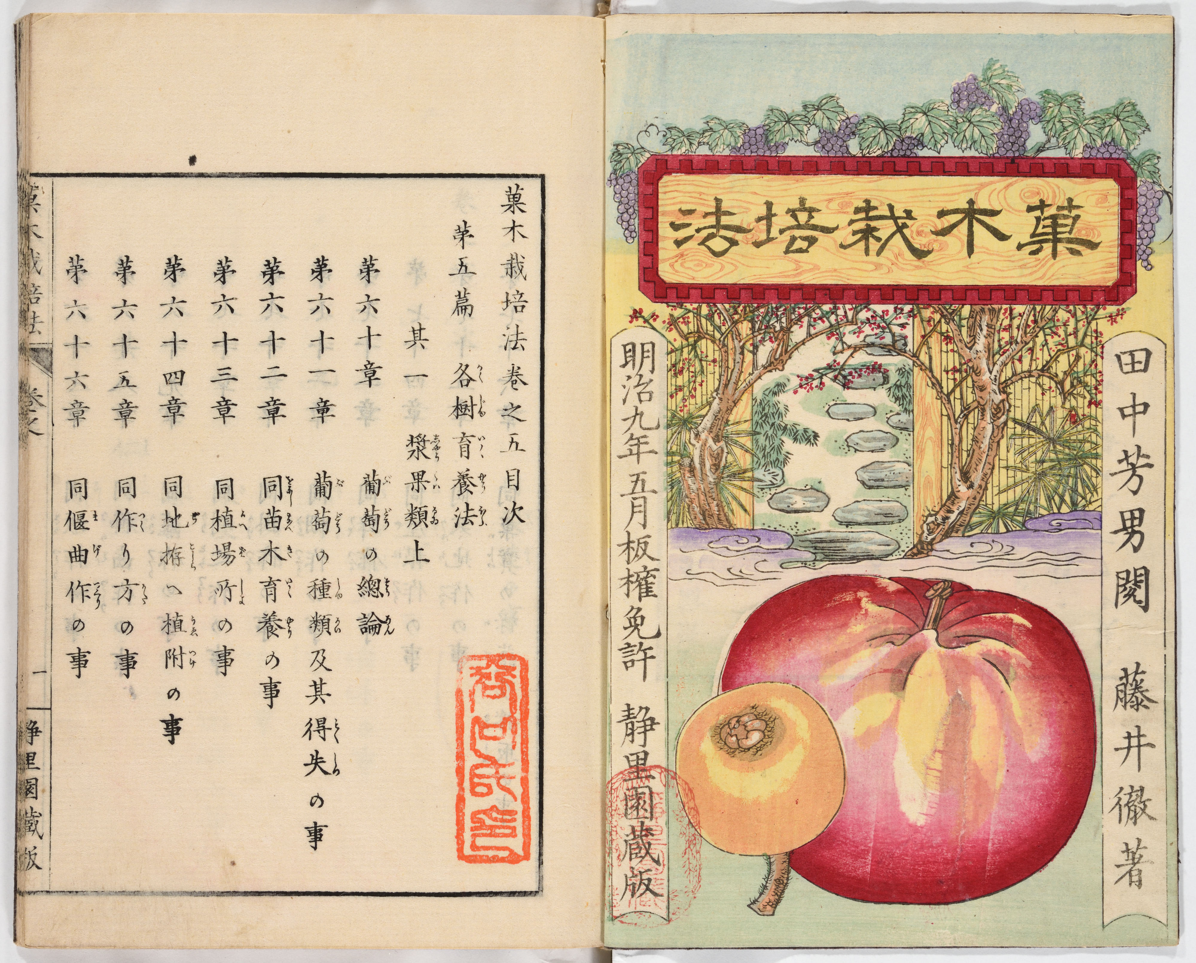Antique Japanese Fruit Cultivation Book Page