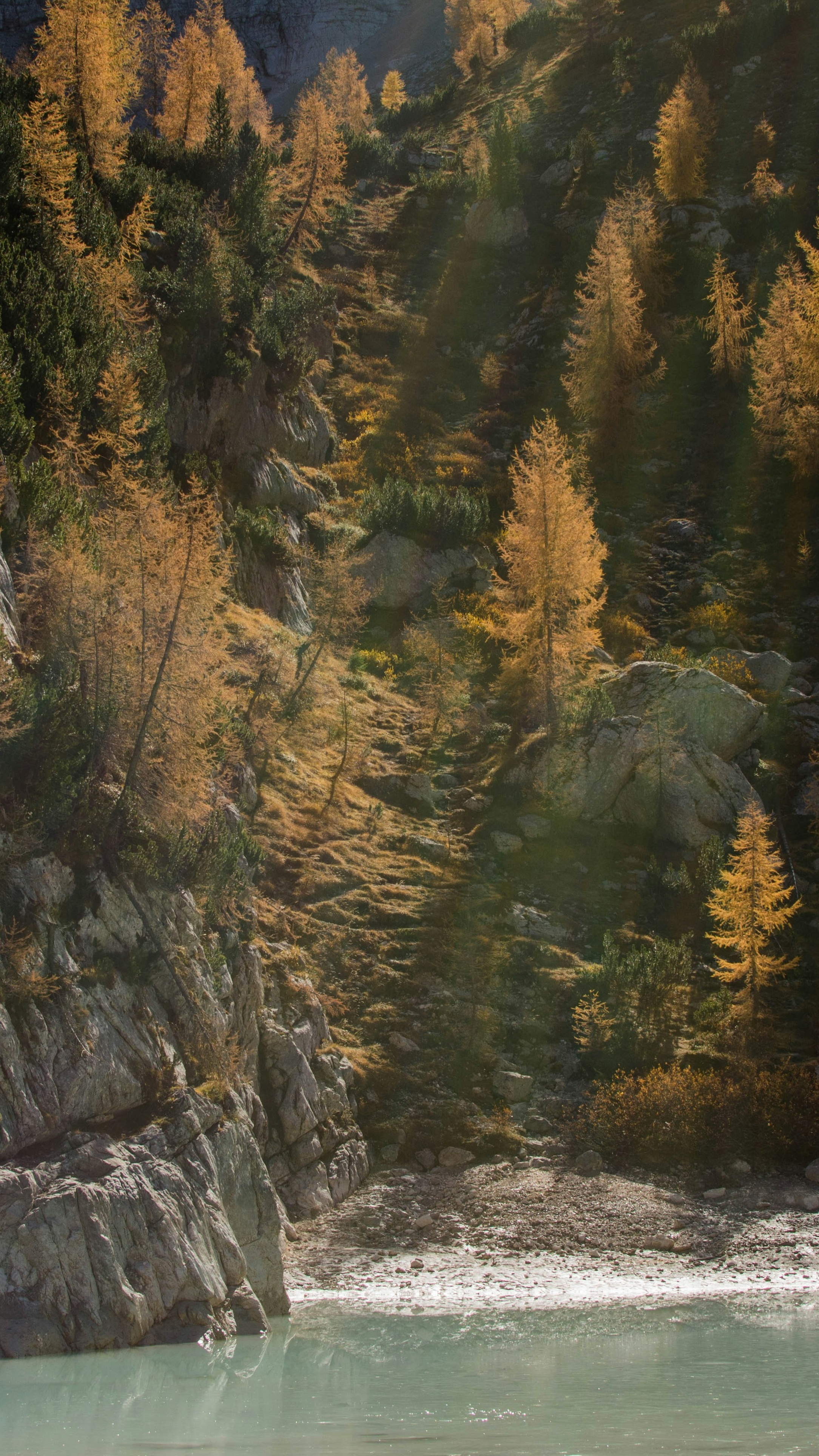 Autumn Mountain Slope by Alpine Lake