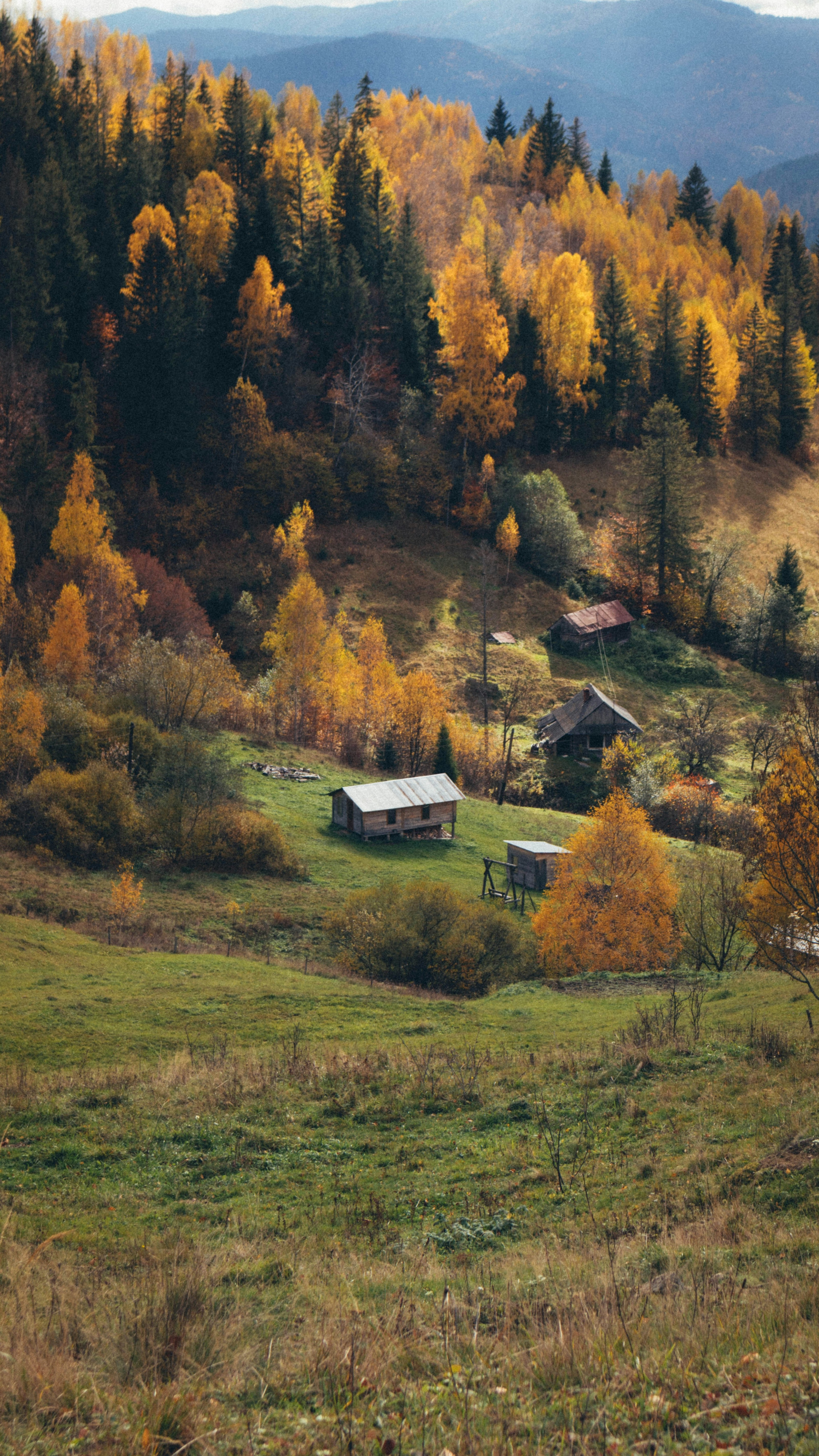 Autumn Mountain Cabins