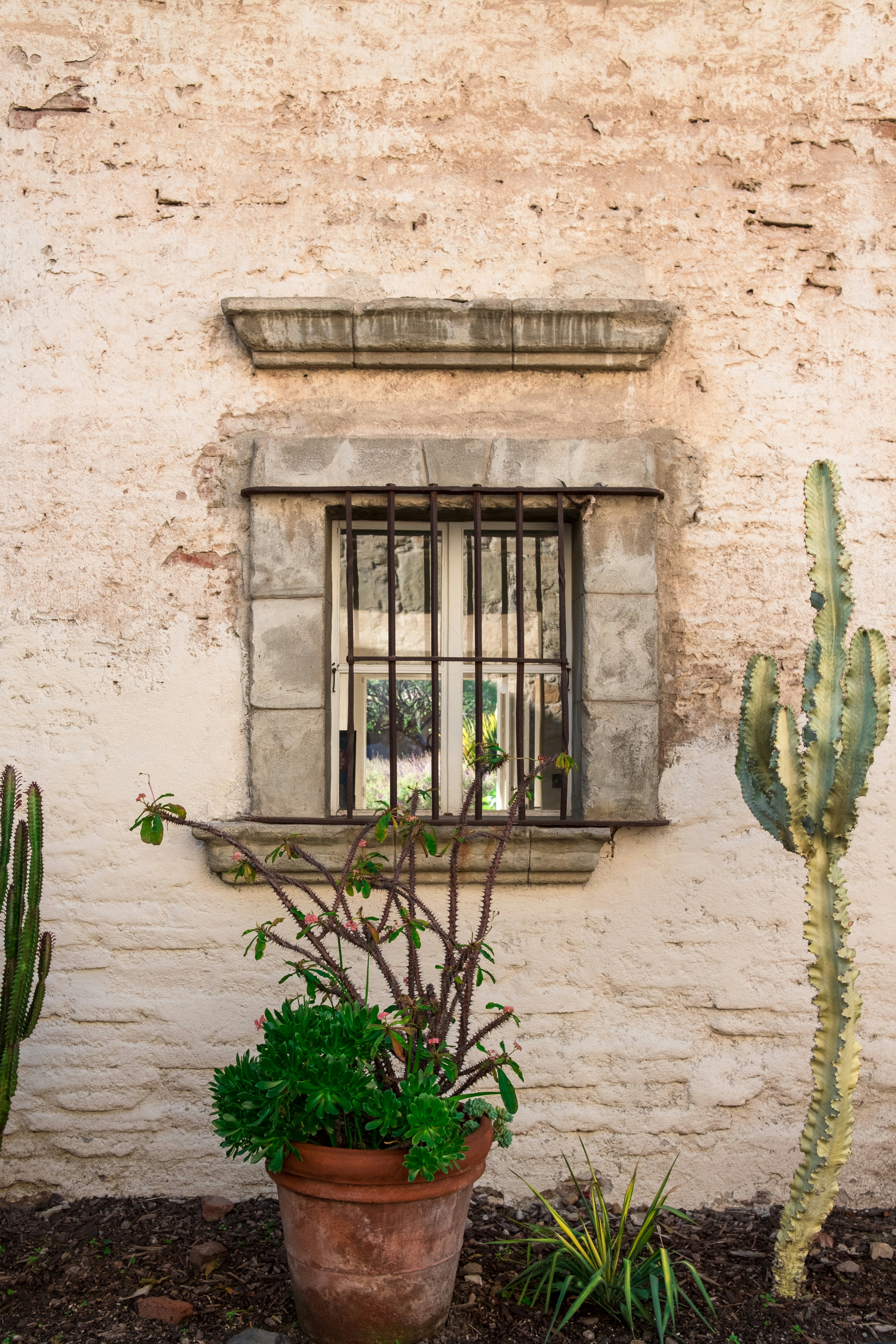 Old Window with Cacti on Weathered Wall