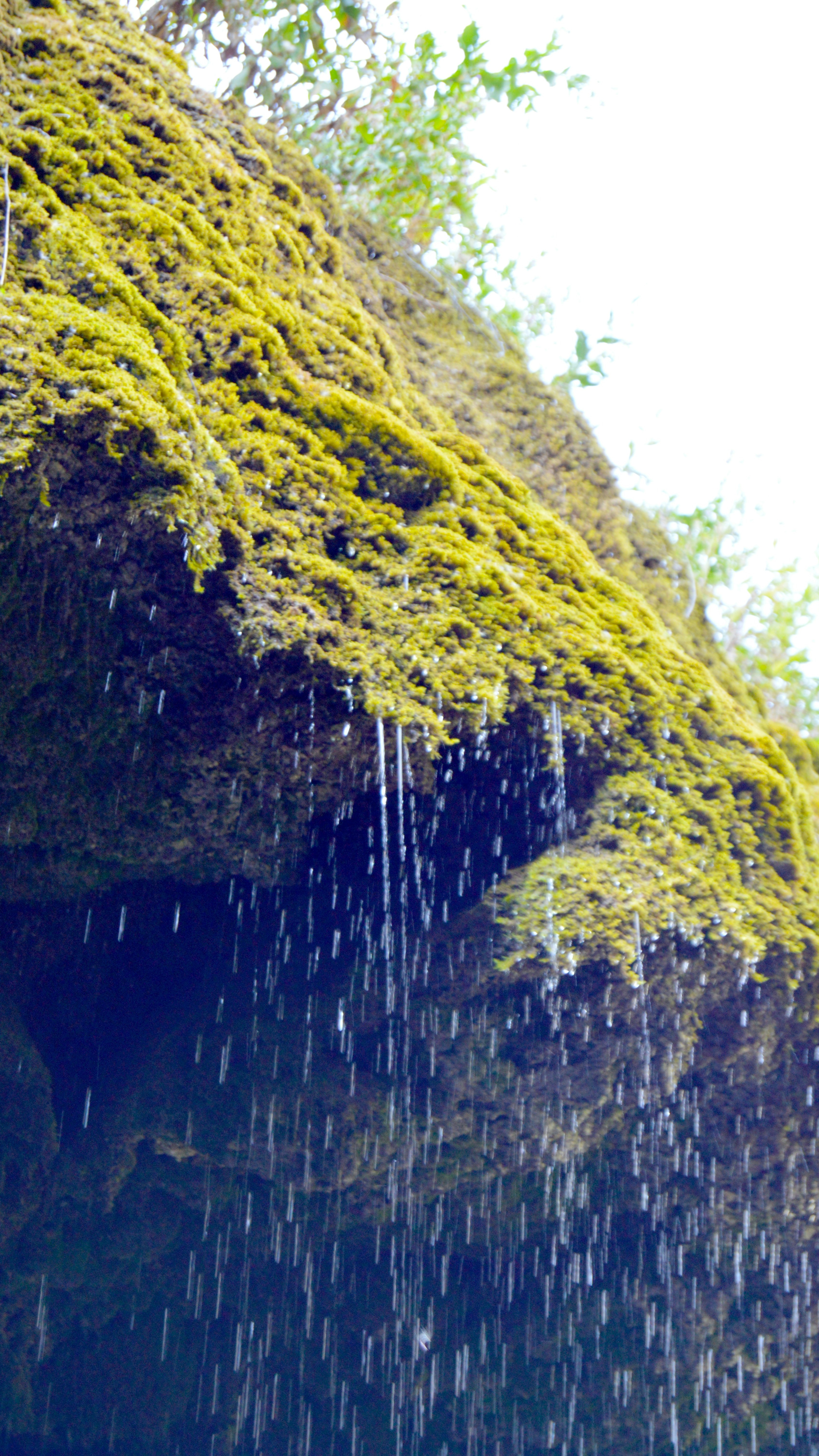 Mossy Rock with Dripping Water