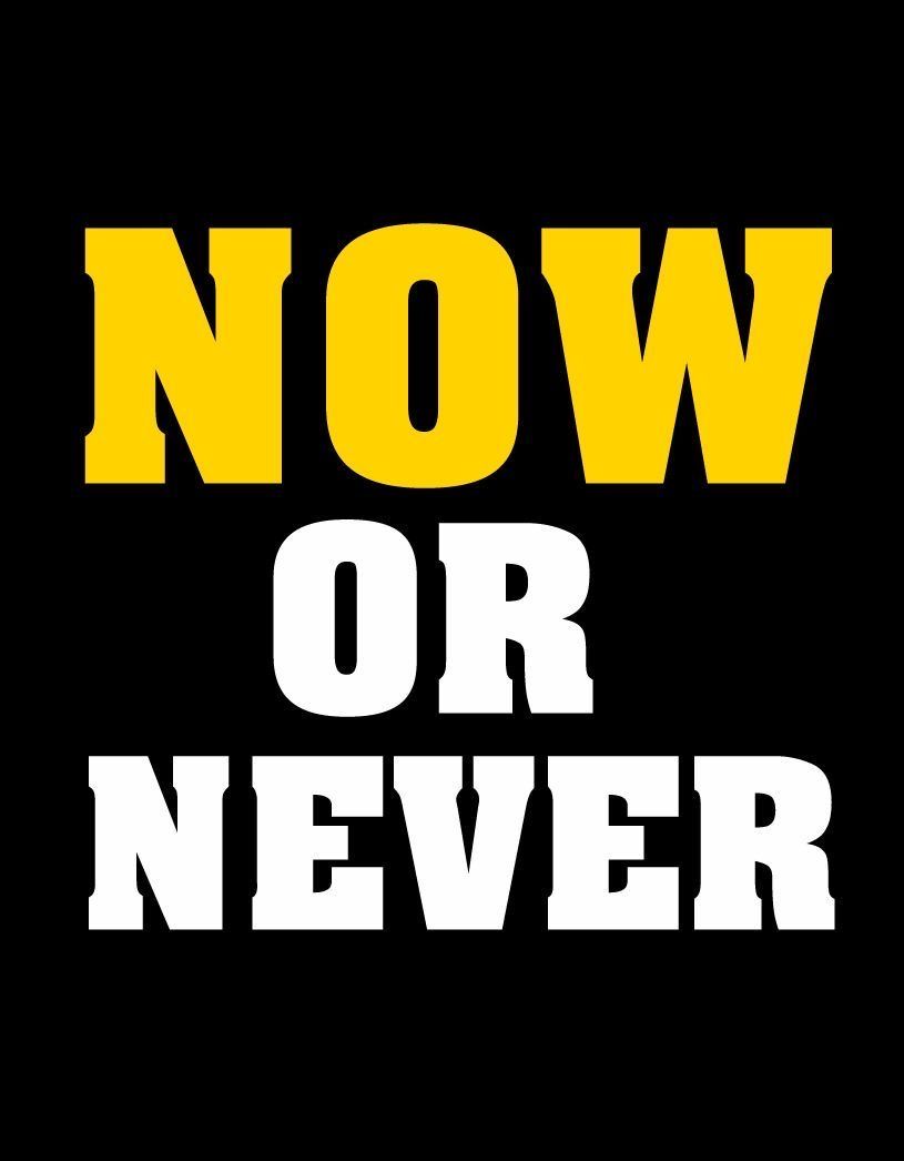 Now Or Never Motivational Quote