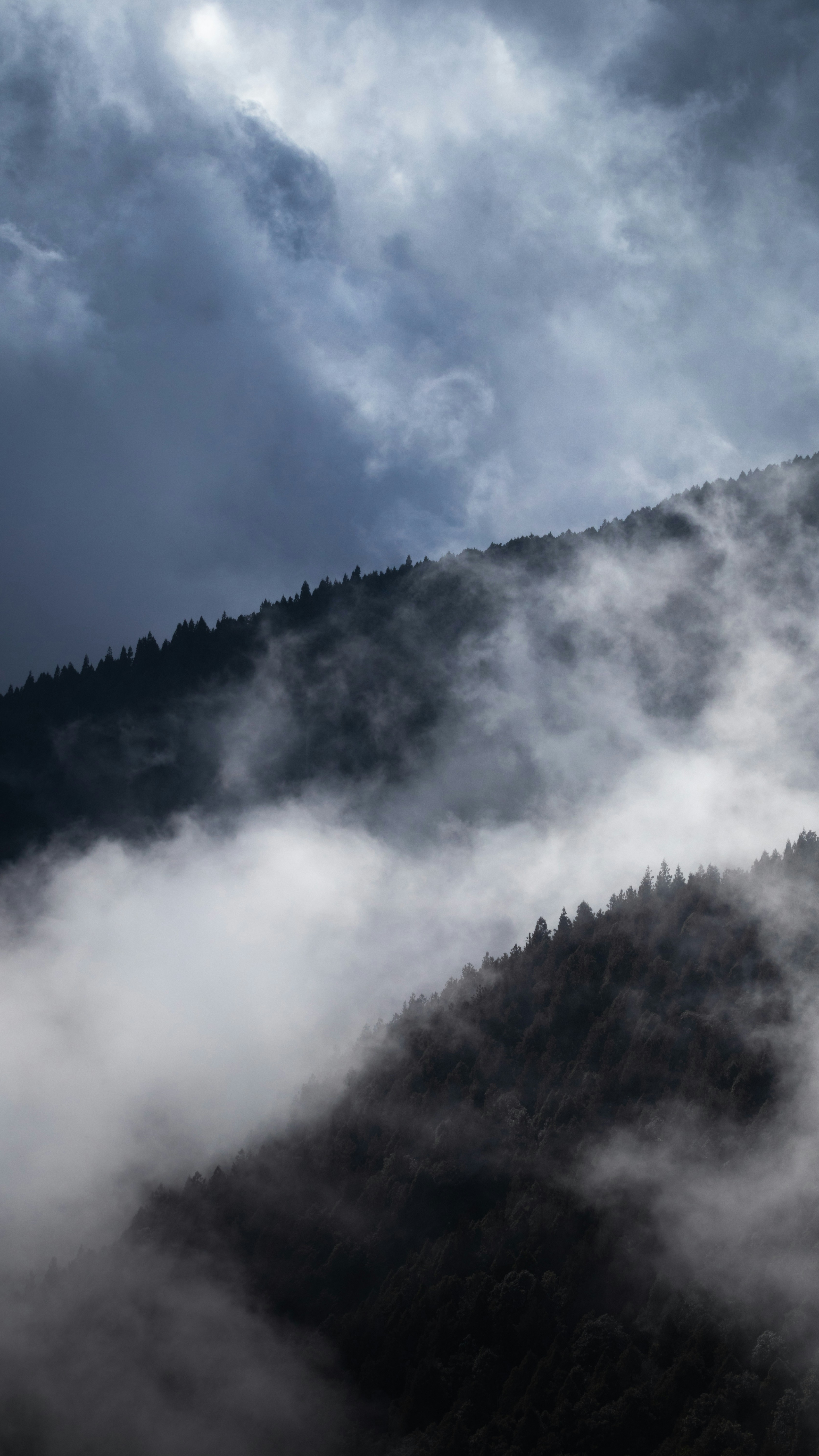 Landscapes