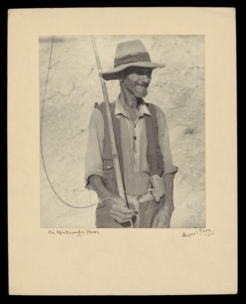 Portrait of an Afrikander Driver