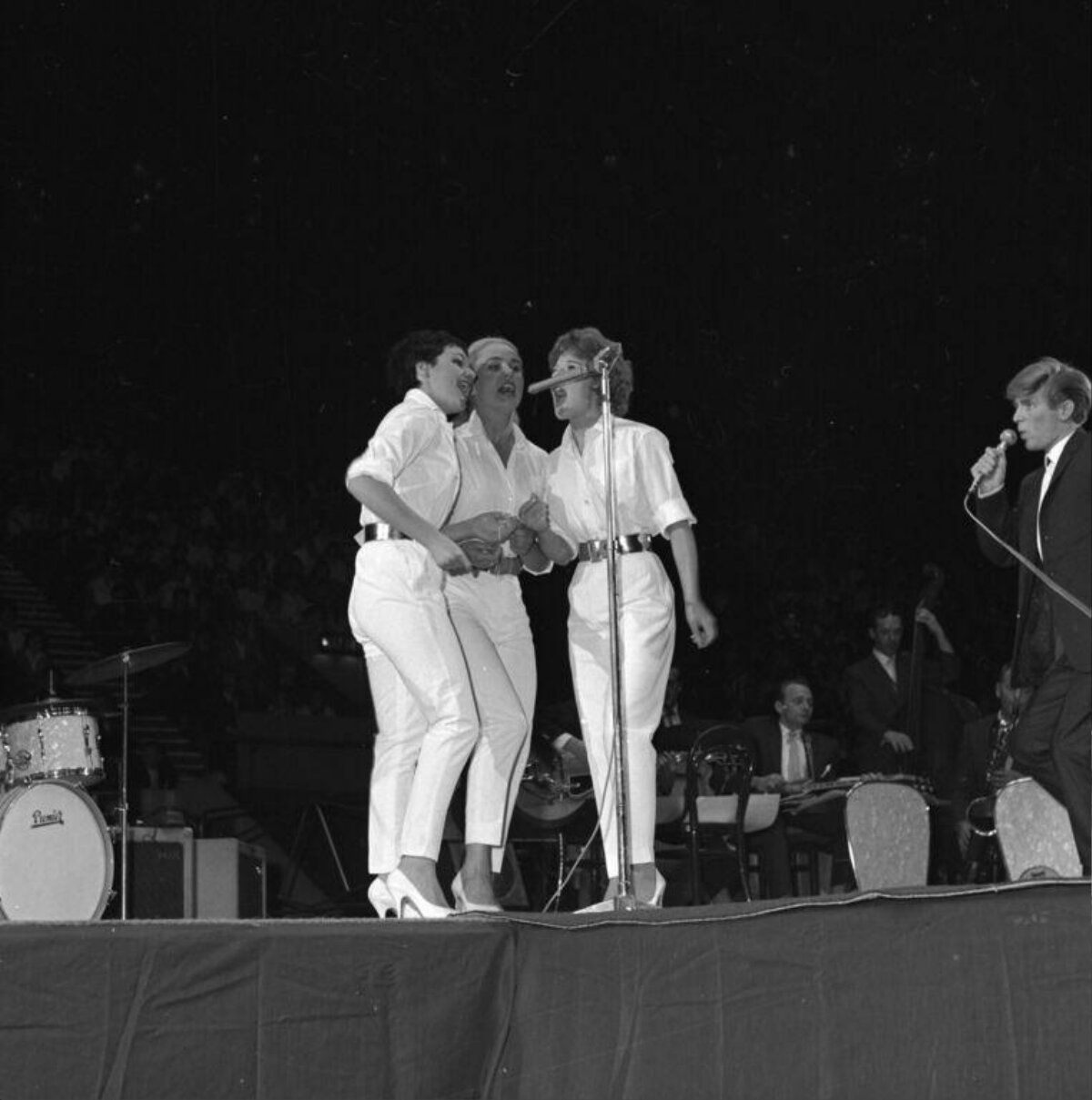 Vocal Group Performing on Concert Stage