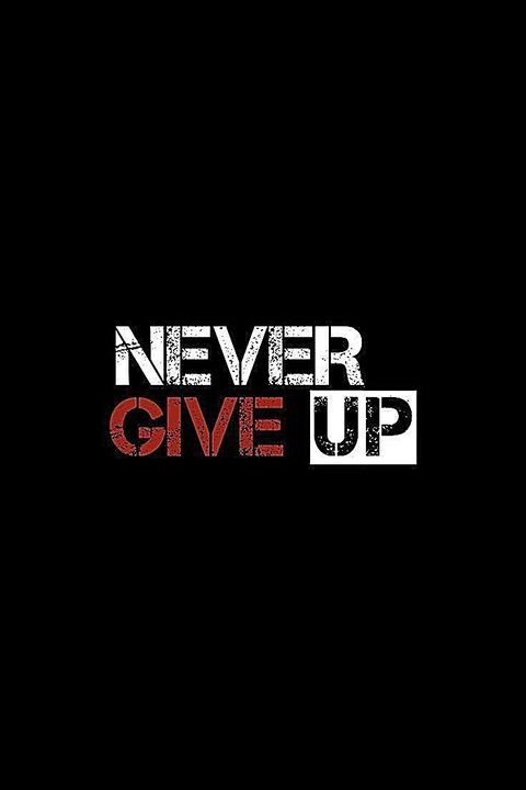 Never Give Up Motivational Quote