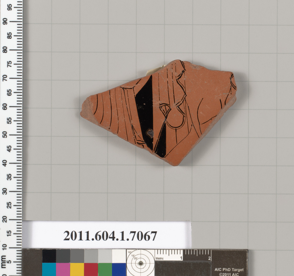 Terracotta Pottery Fragment
