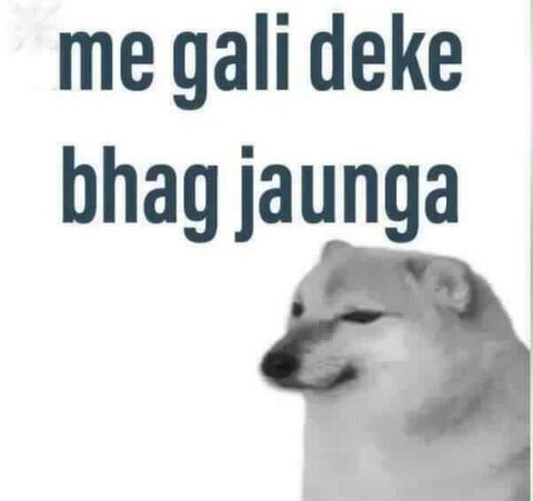 Hindi Text Cheems Dog Meme