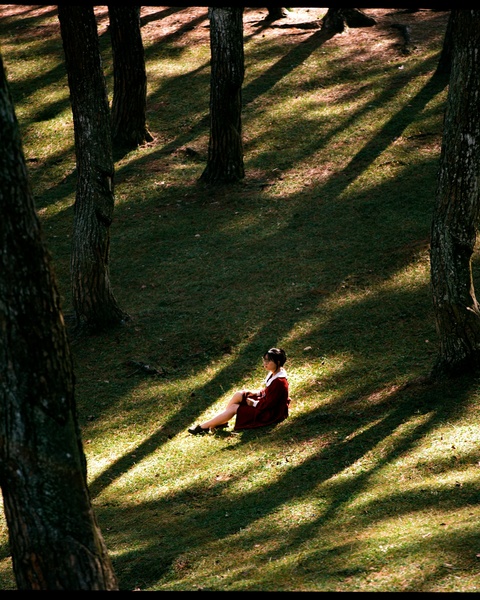 Image 1439789 — Beauty