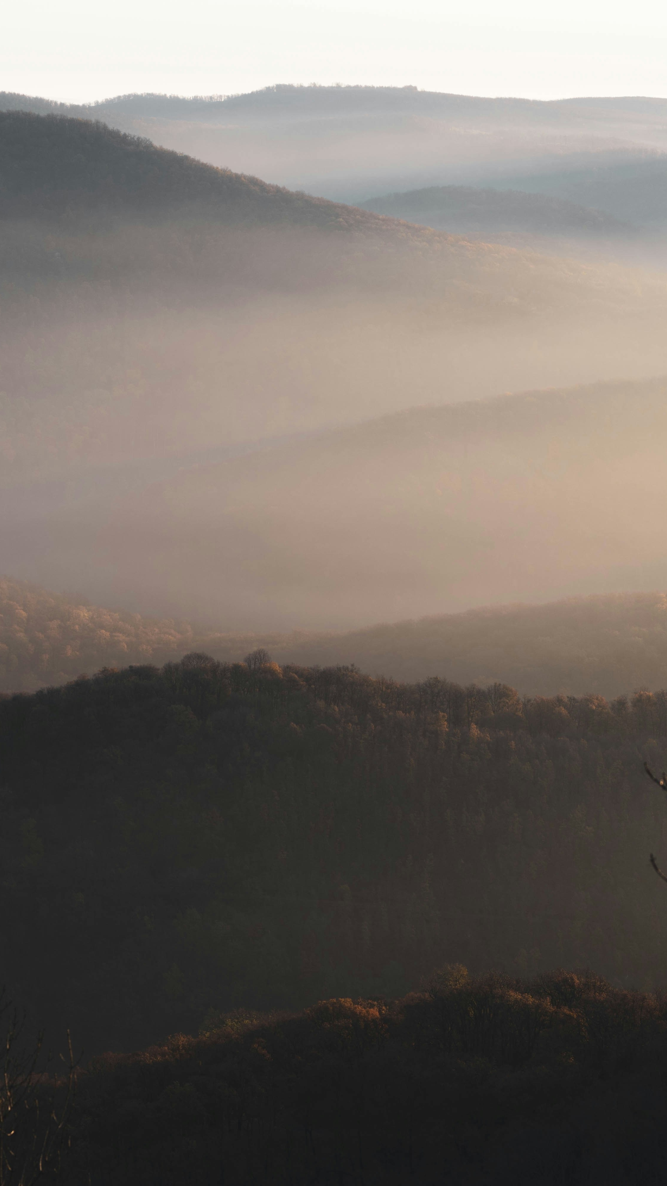 Landscapes