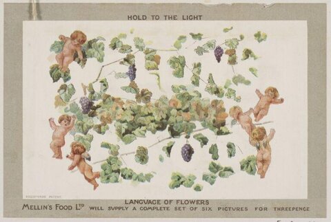 Vintage Mellin's Food Advertising Card