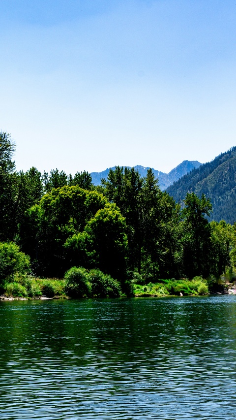River and Mountain Forest Landscape