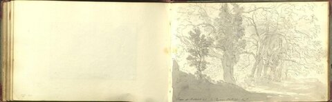 Open Sketchbook with Woodland Sketch