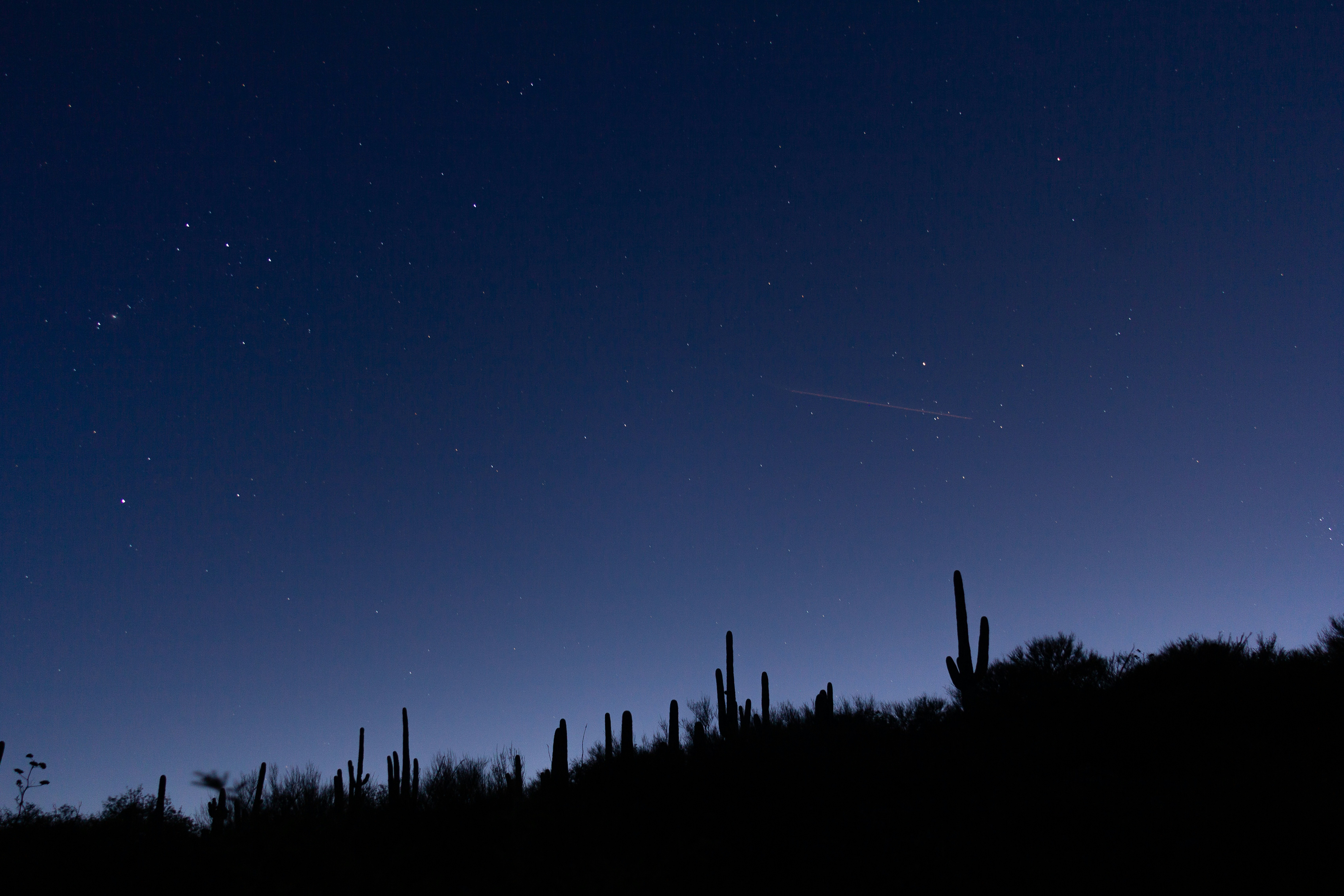 Desert Night Sky With Cactus Silhouettes