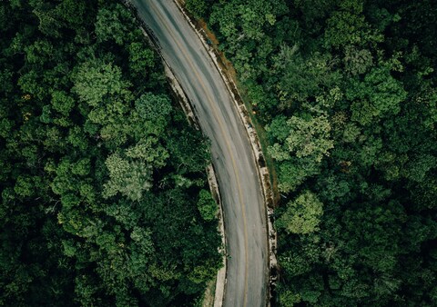 Aerial View of Forest Road