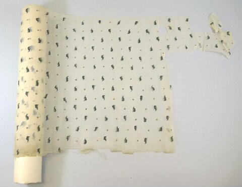 Partially Unrolled Ancient Patterned Textile
