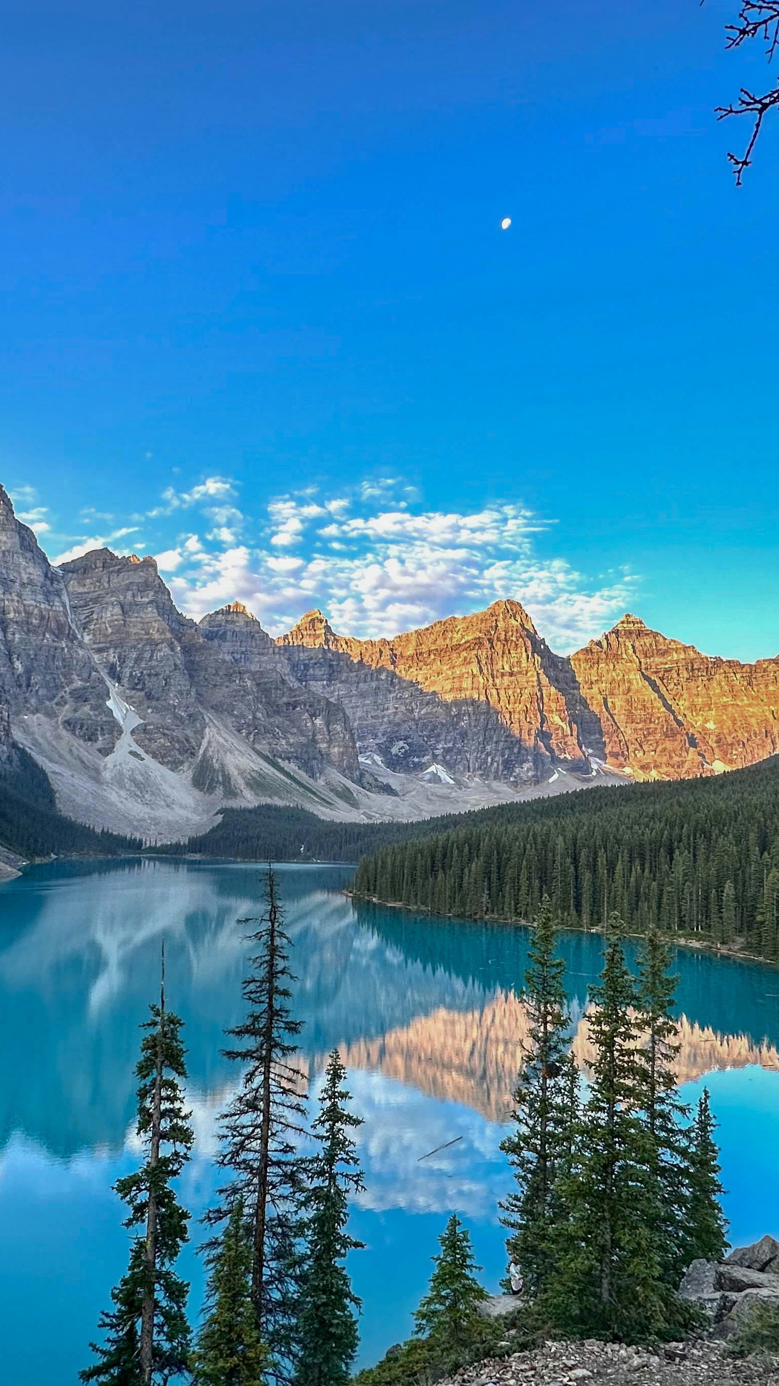 Landscapes