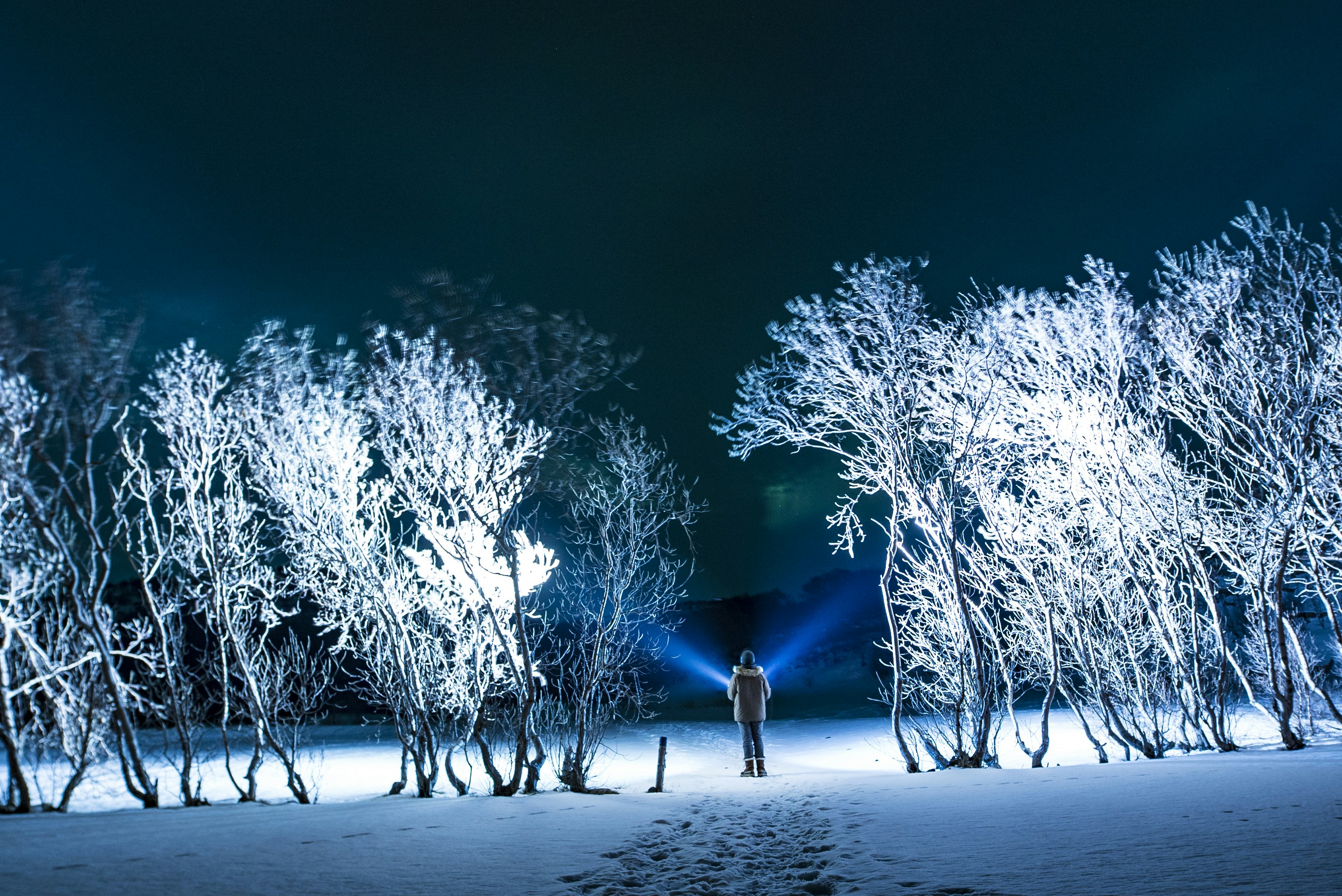 Hiker in Night Snowy Forest