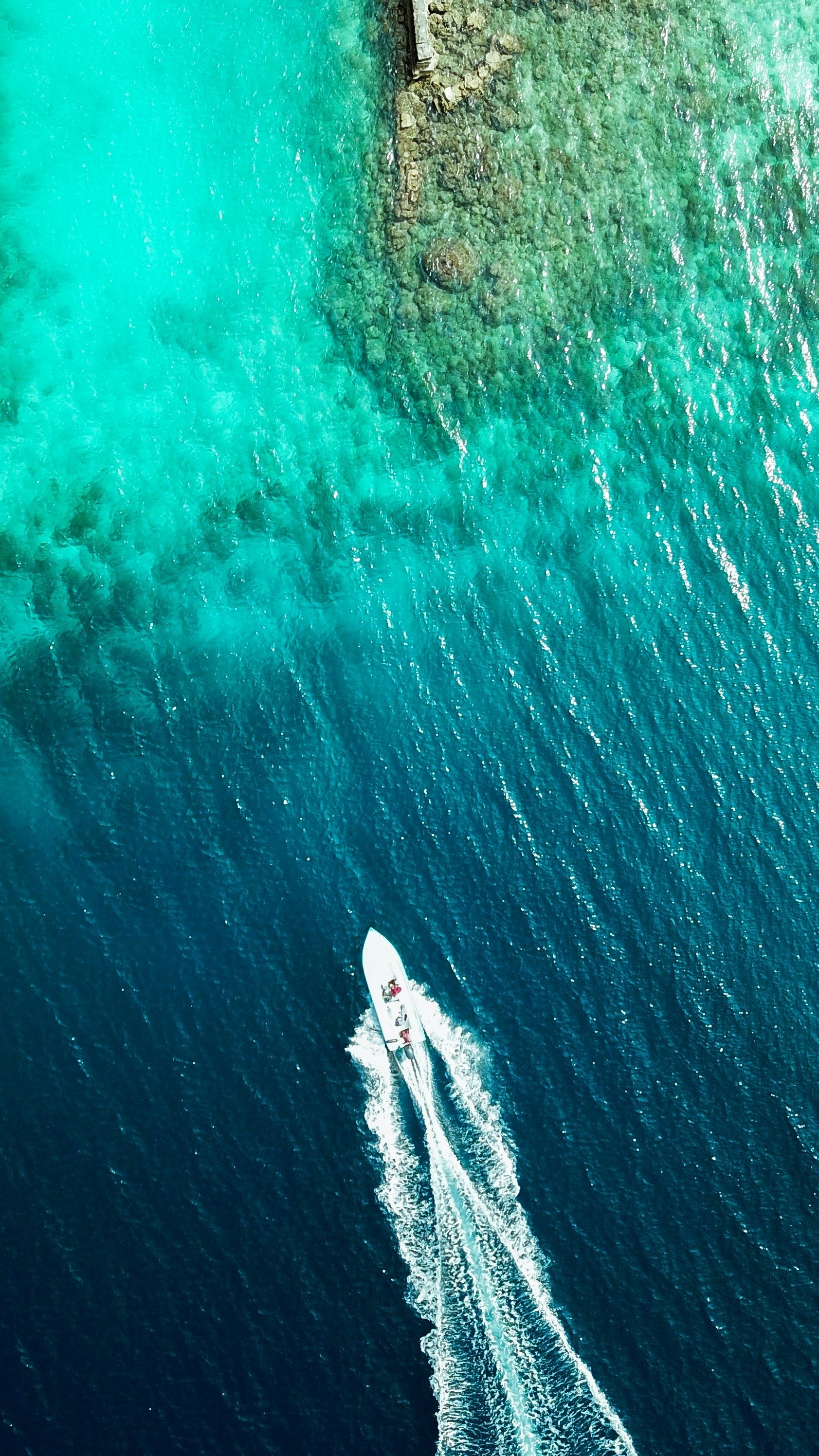 Wallpapers