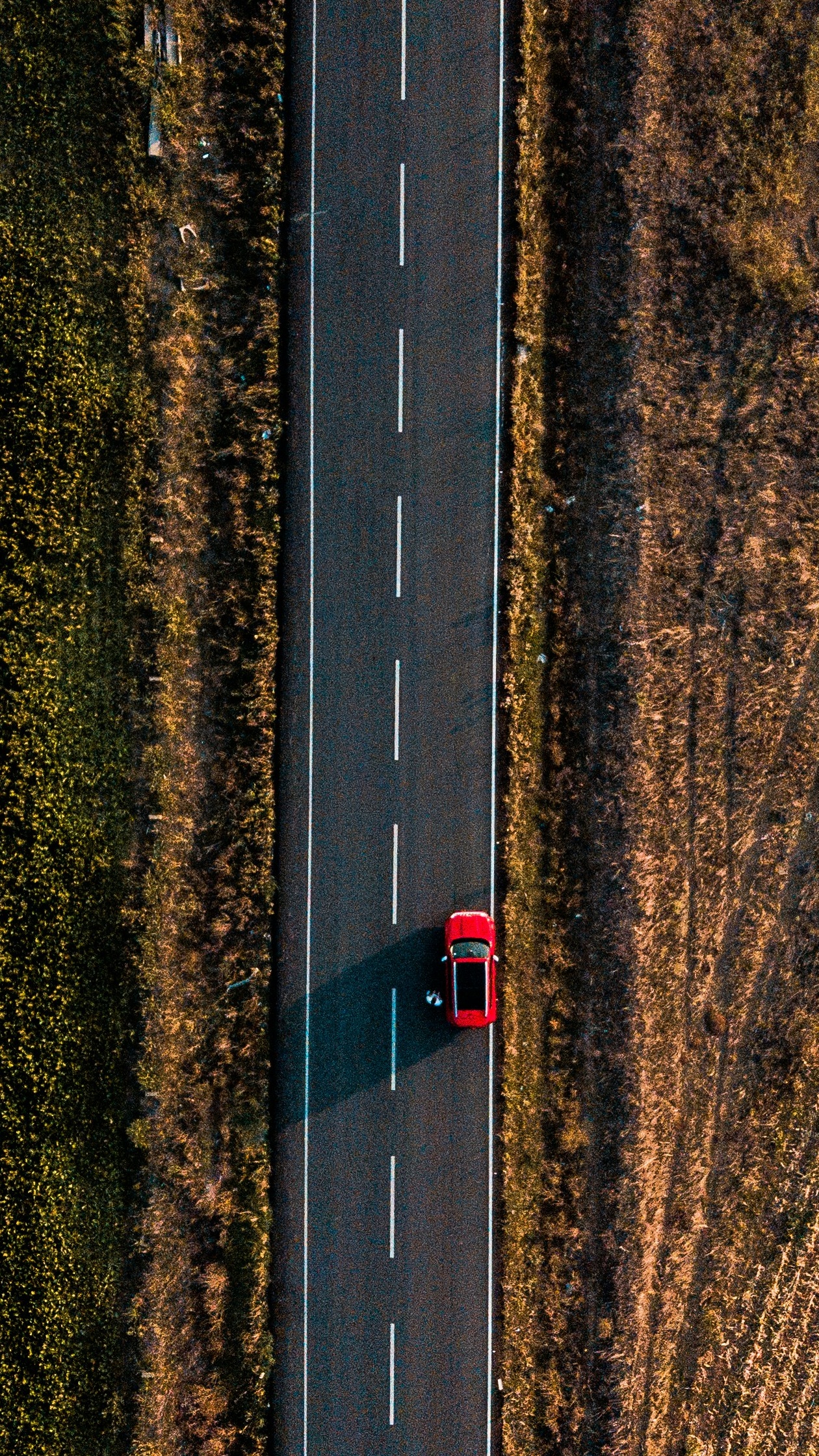 Wallpapers