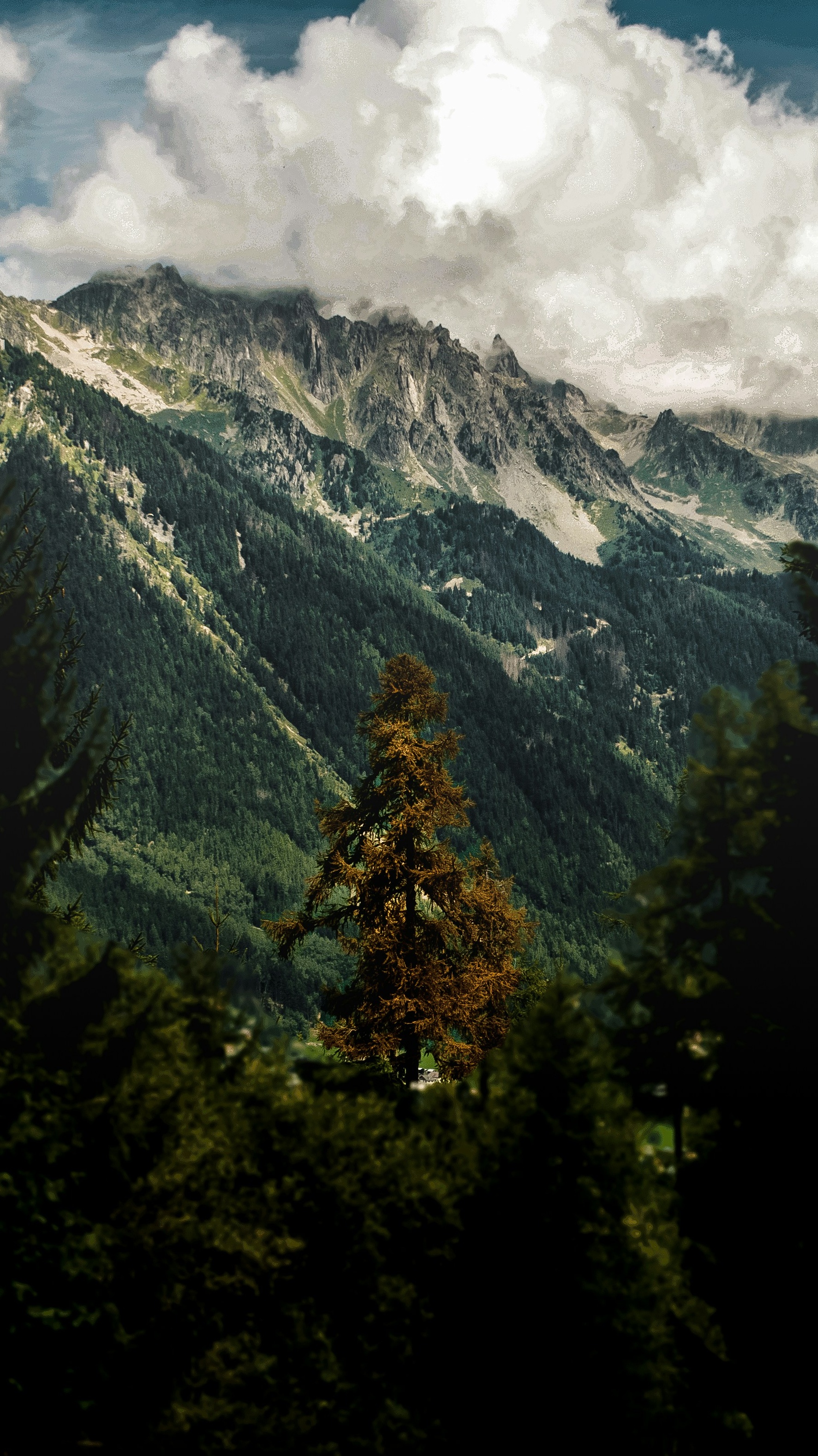 Wallpapers